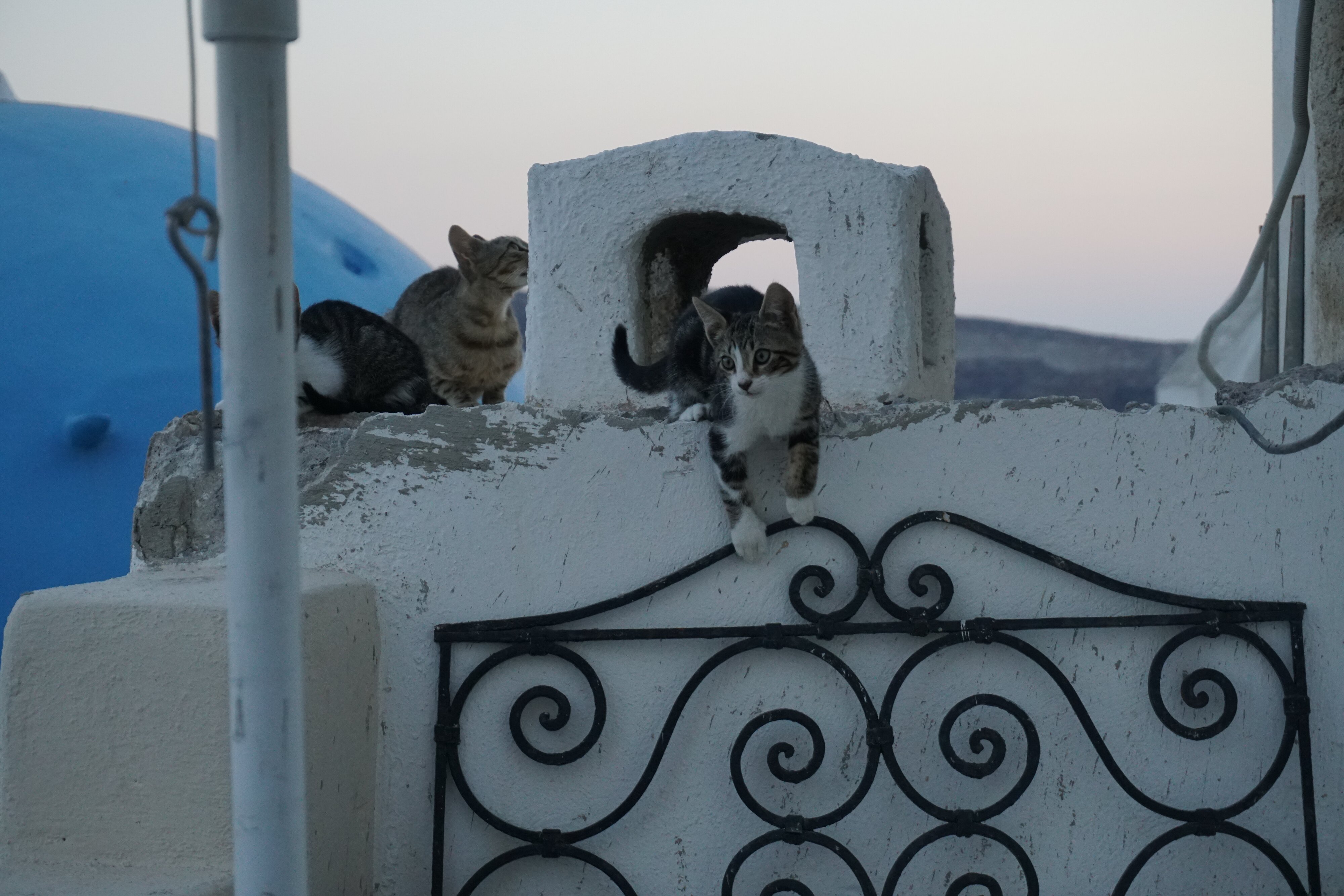 รูปถ่าย กรีก(Greece) ซานโตรินี(Santorini) บ้านถ้ำโอยา(Oia cave house) 2016-07 21