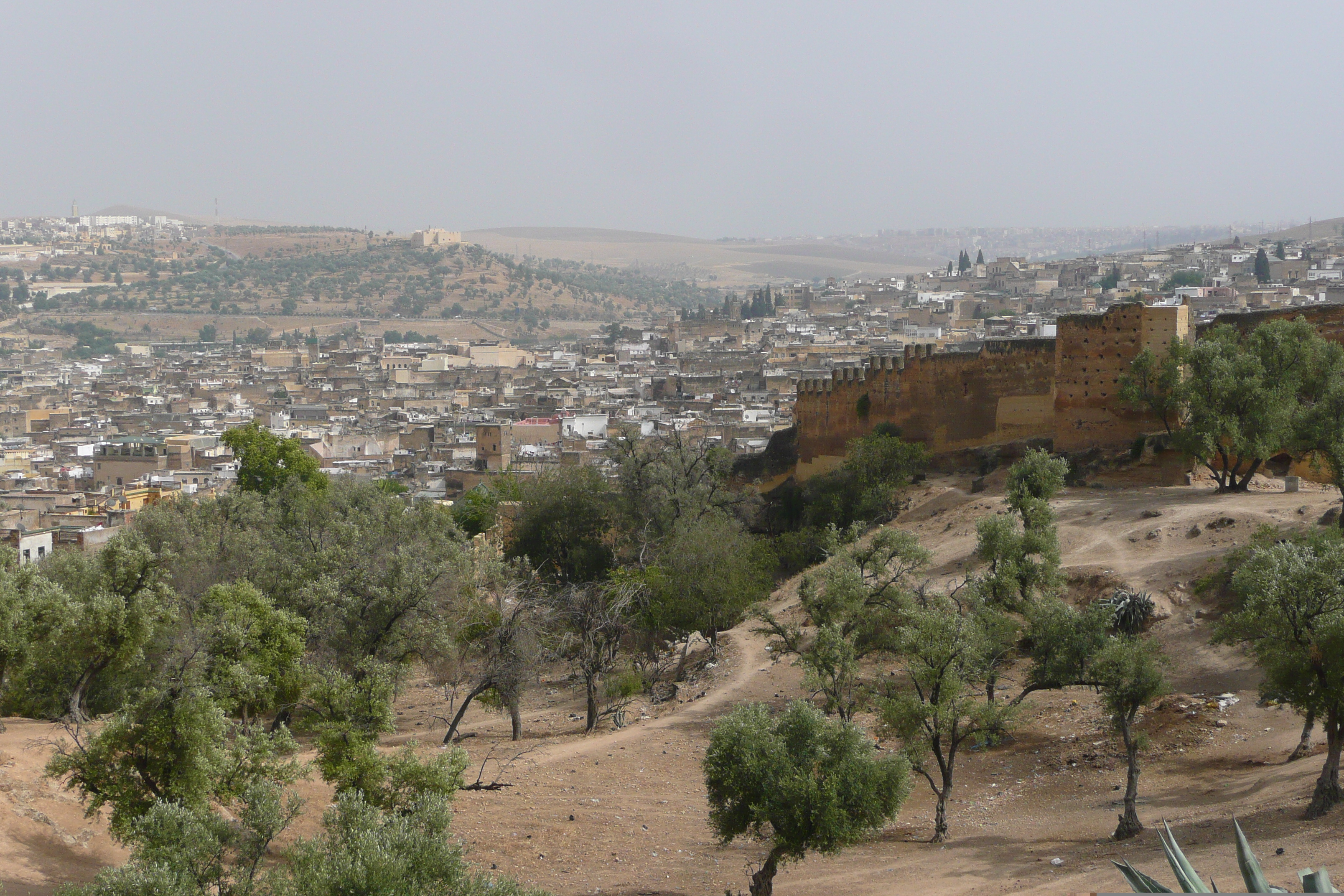 รูปถ่าย โมร็อกโก(Morocco) เฟส(Fes) เมดินาเฟส(Fes Medina) 2008-07 96