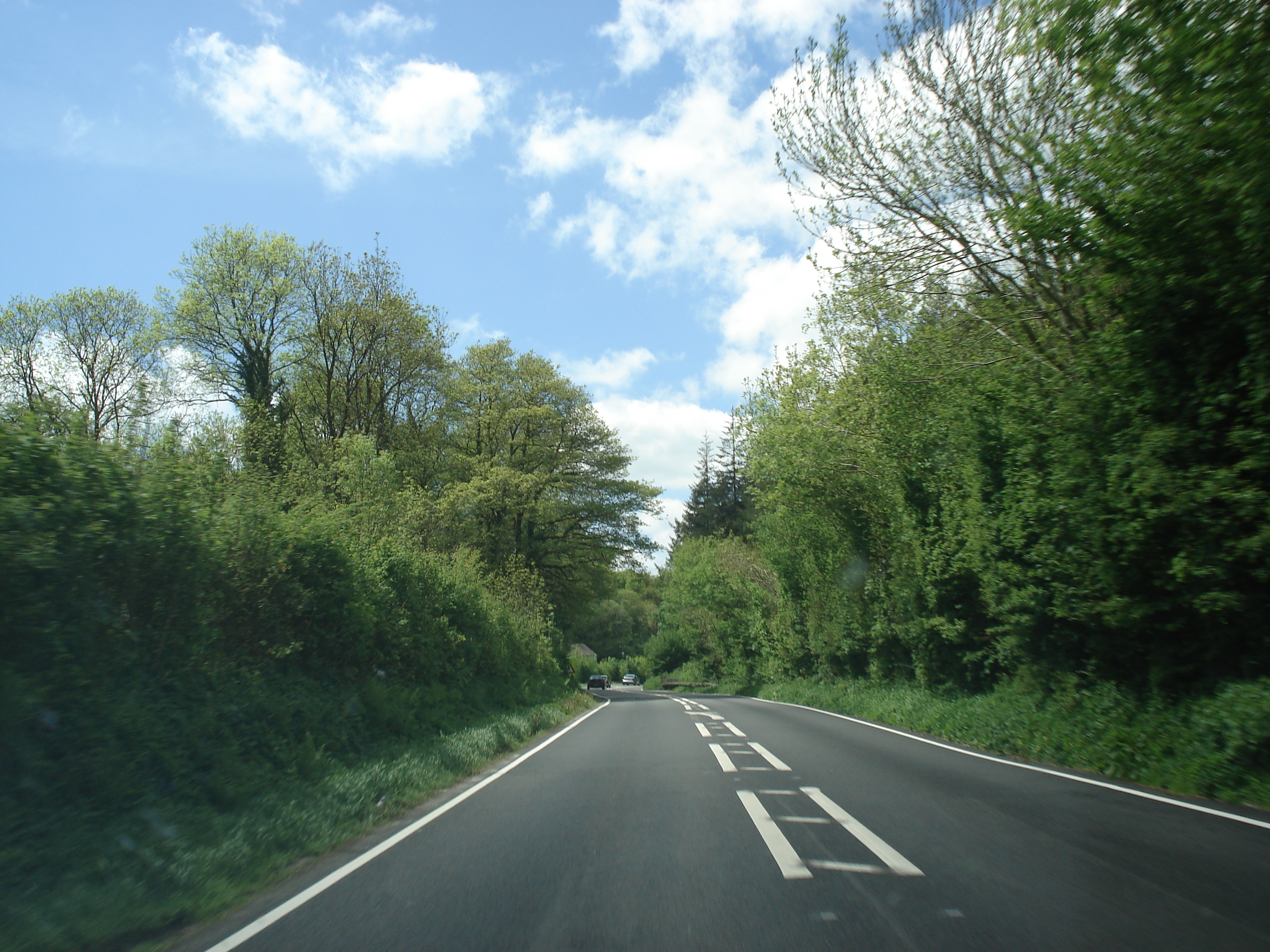 รูปถ่าย อังกฤษ(United Kingdom) เปมโบรคเชอร์(Pembrokeshire) 2006-05 48