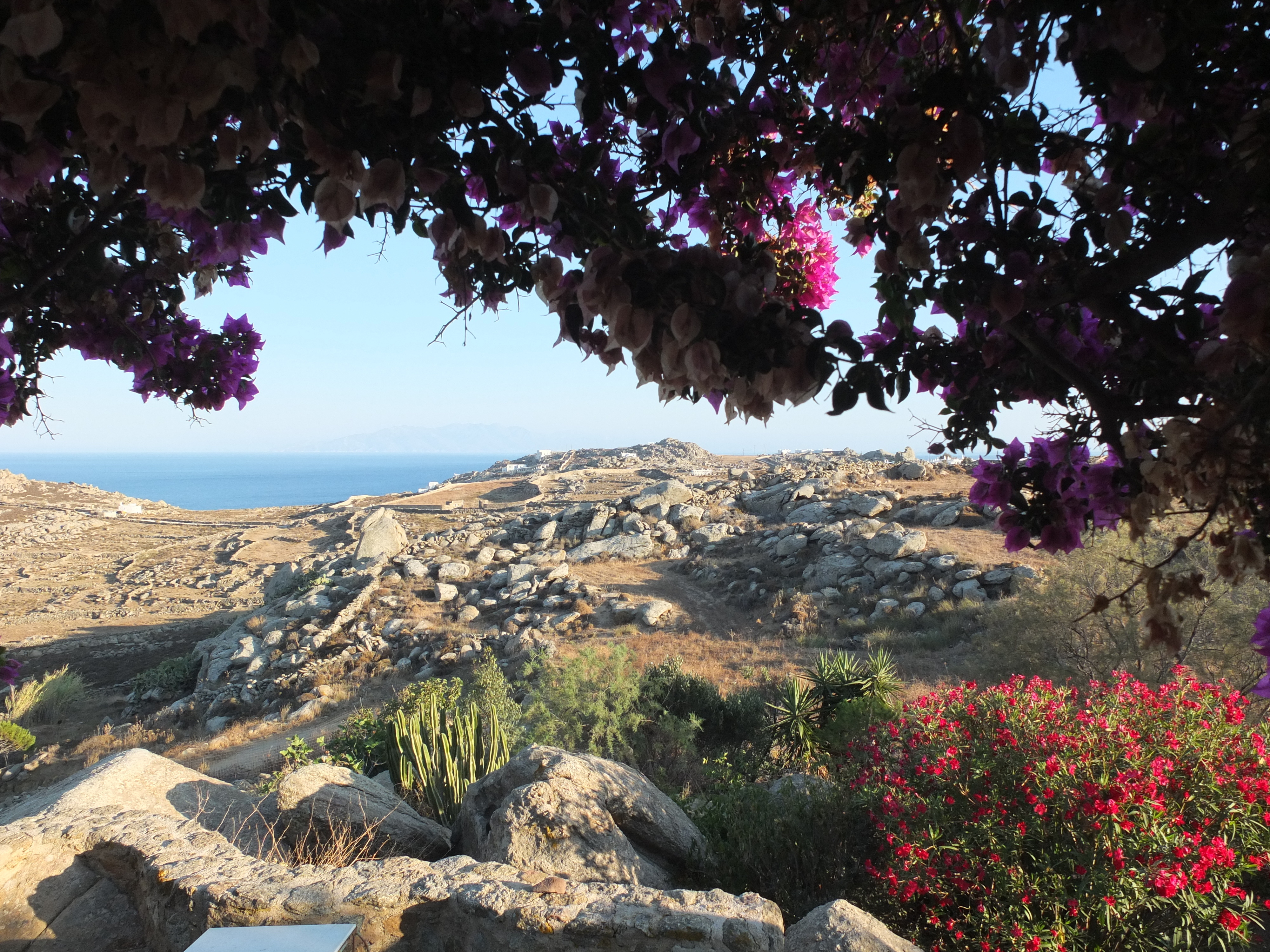รูปถ่าย กรีก(Greece) เกาะมิโคนอส(Mykonos) 2014-07 93