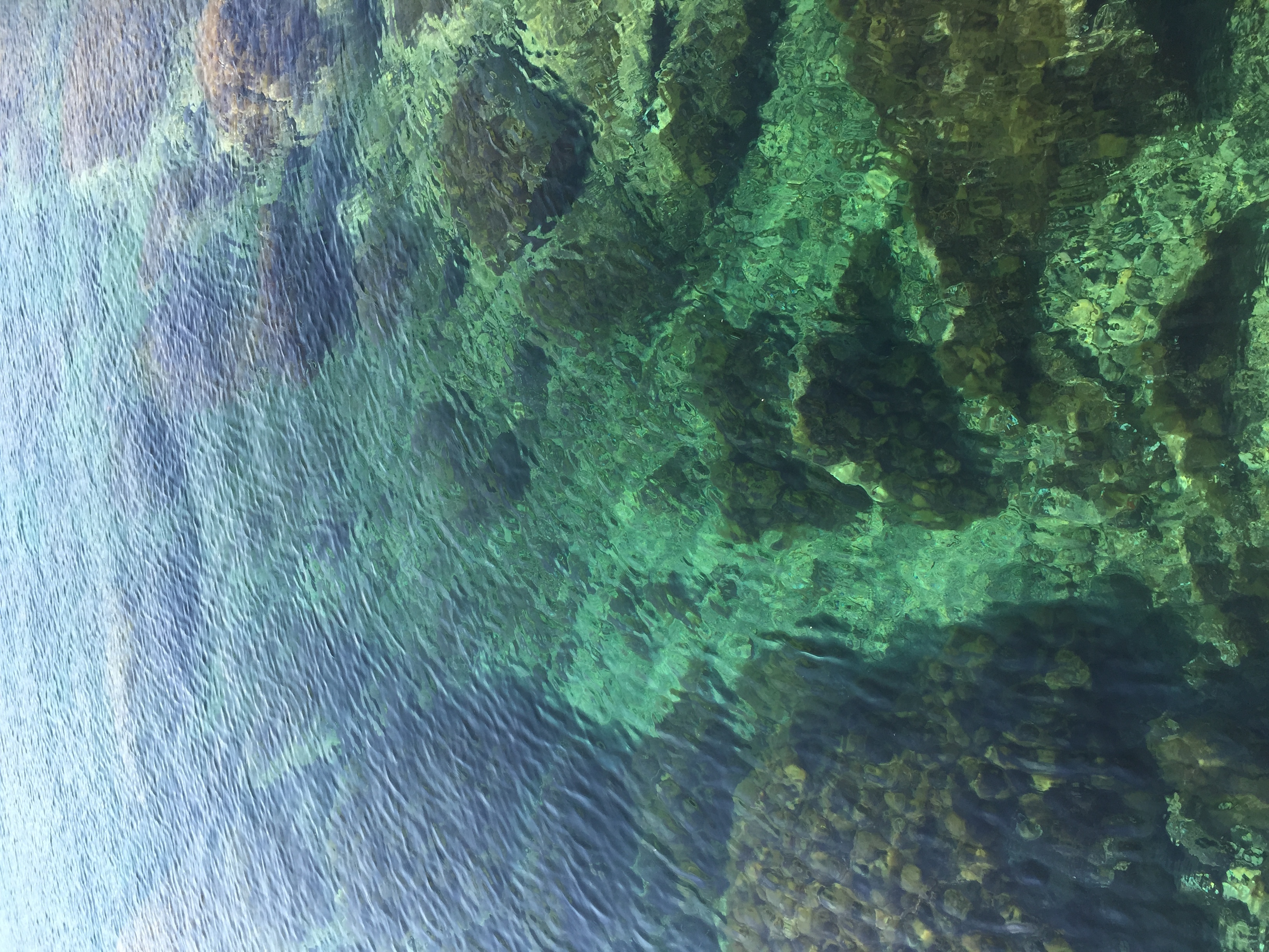 รูปถ่าย ฝรั่งเศส(France) คอร์สิคา(Corsica) แหลมปุนตาสปาโน(Punta Spano) 2015-05 15