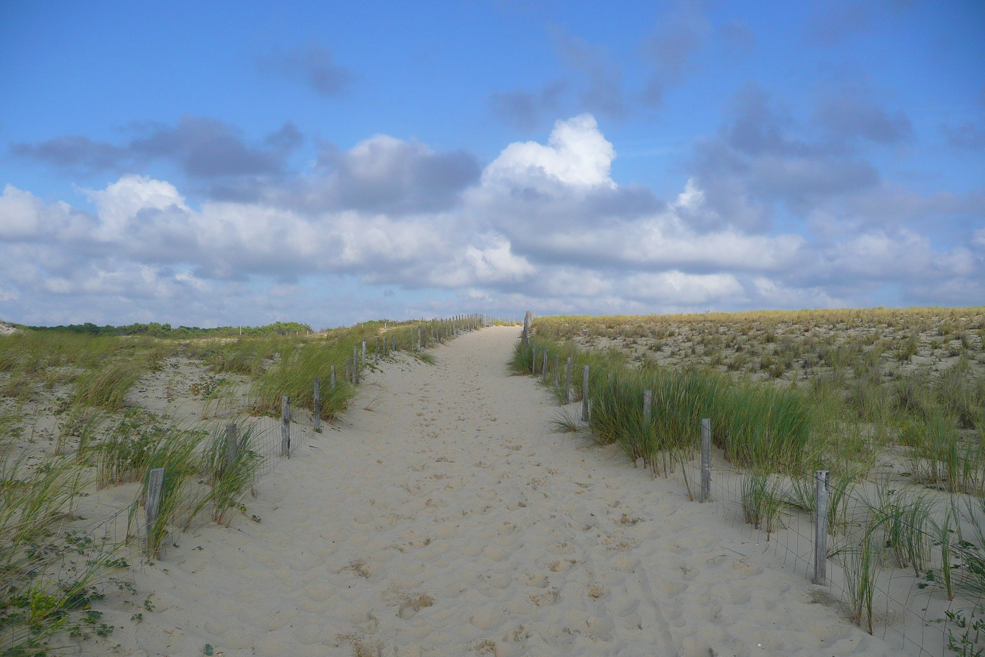 รูปถ่าย ฝรั่งเศส(France) ลากาโน(Lacanau) 2007-08 138
