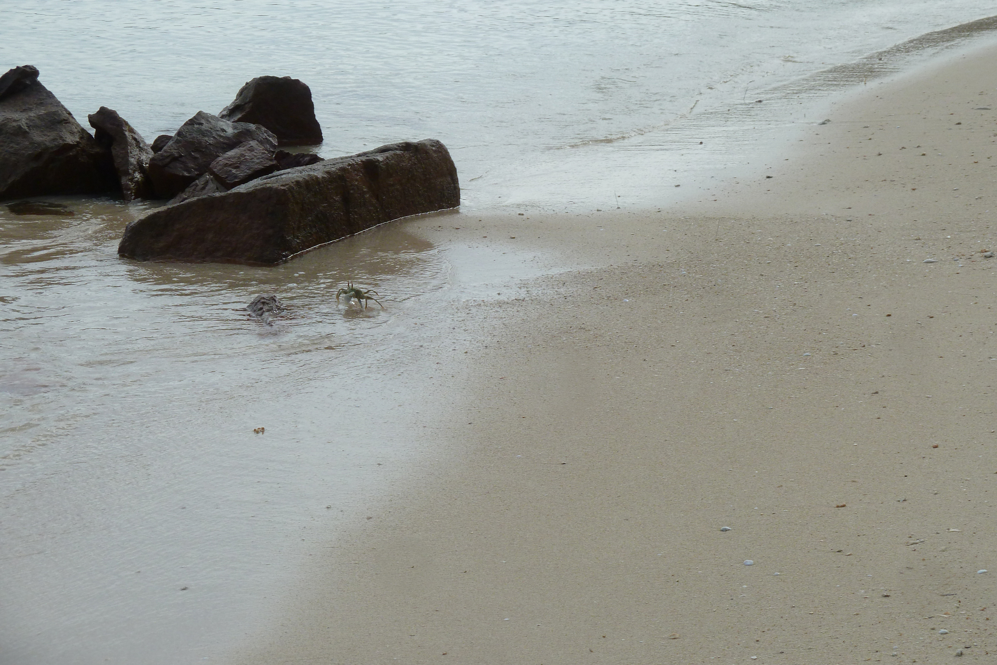รูปถ่าย เซเชลส์(Seychelles) อ่าวอ็องส์ปอสเซสซียง(Anse Possession) 2011-10 53