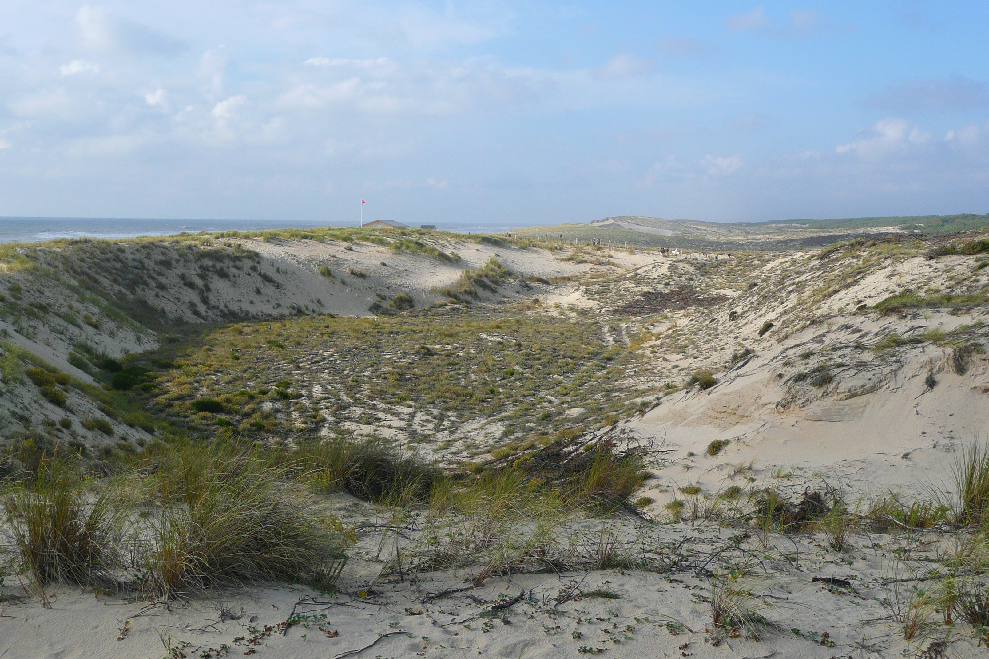 รูปถ่าย ฝรั่งเศส(France) ลากาโน(Lacanau) 2007-08 119