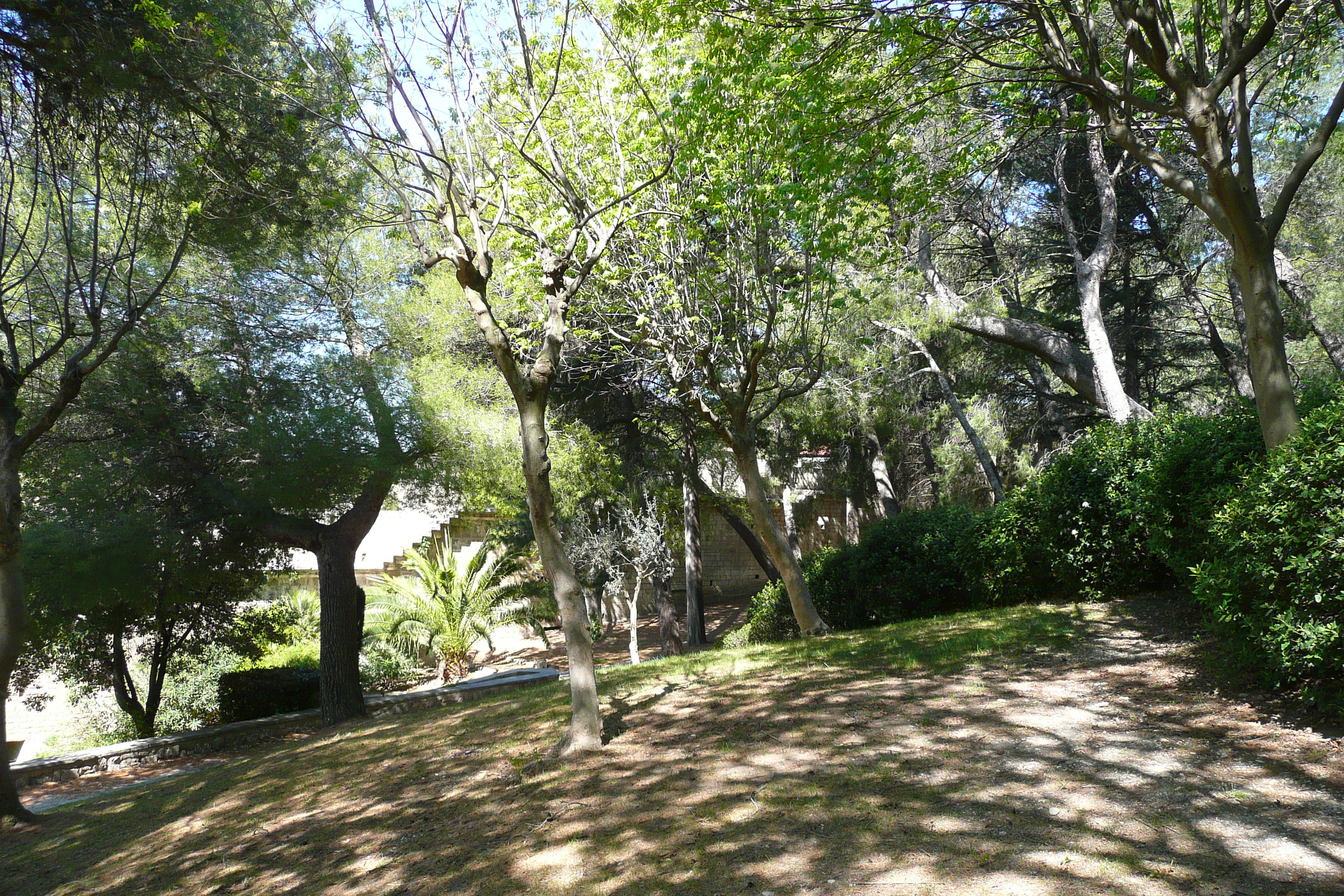 รูปถ่าย ฝรั่งเศส(France) โบแกร์(Beaucaire) ปราสาทโบแกร์(Beaucaire castle) 2008-04 31