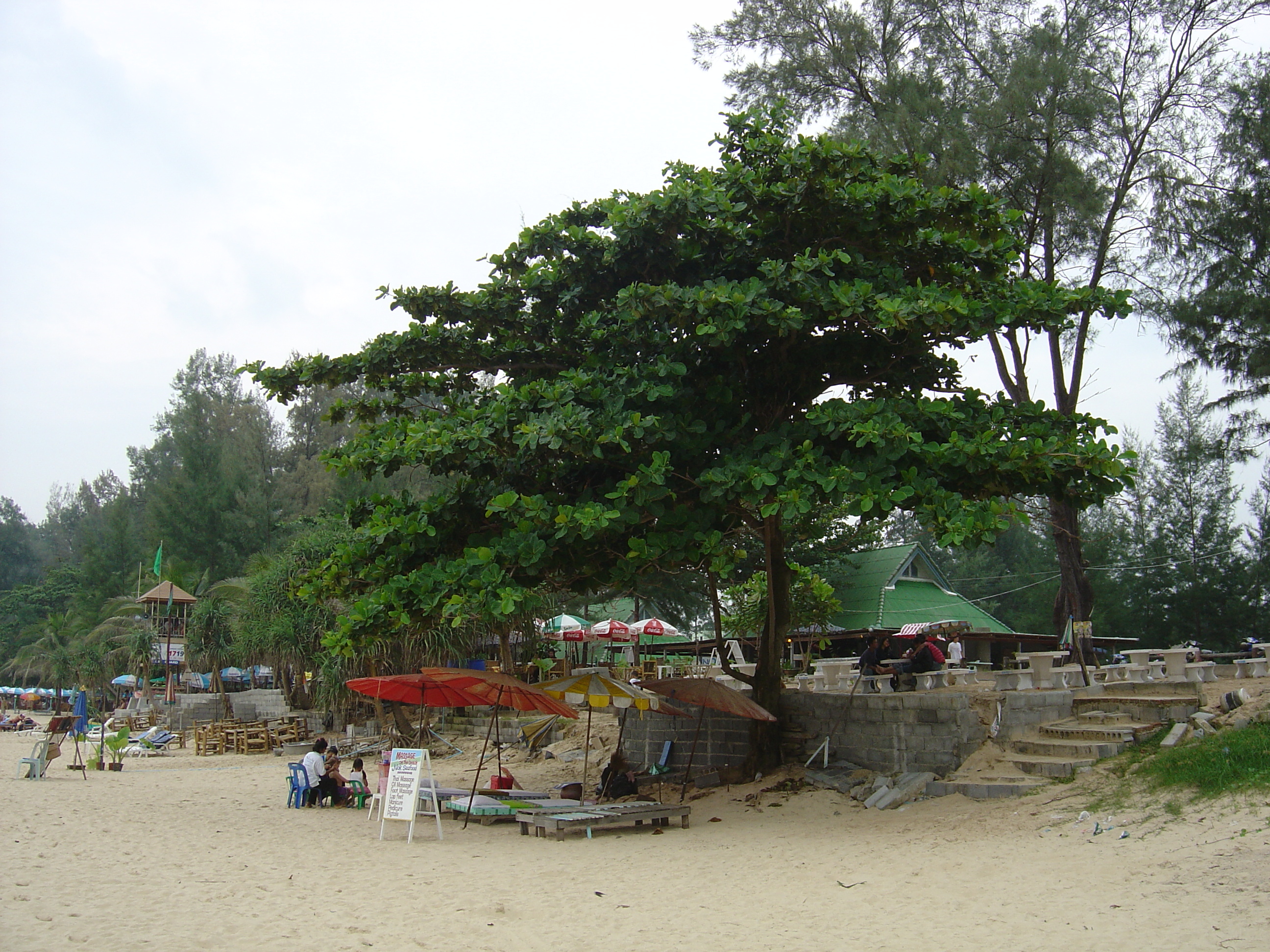 รูปถ่าย ไทย(Thailand) ภูเก็ต(Phuket) หาดสุรินทร์(Surin Beach) 2005-12 9