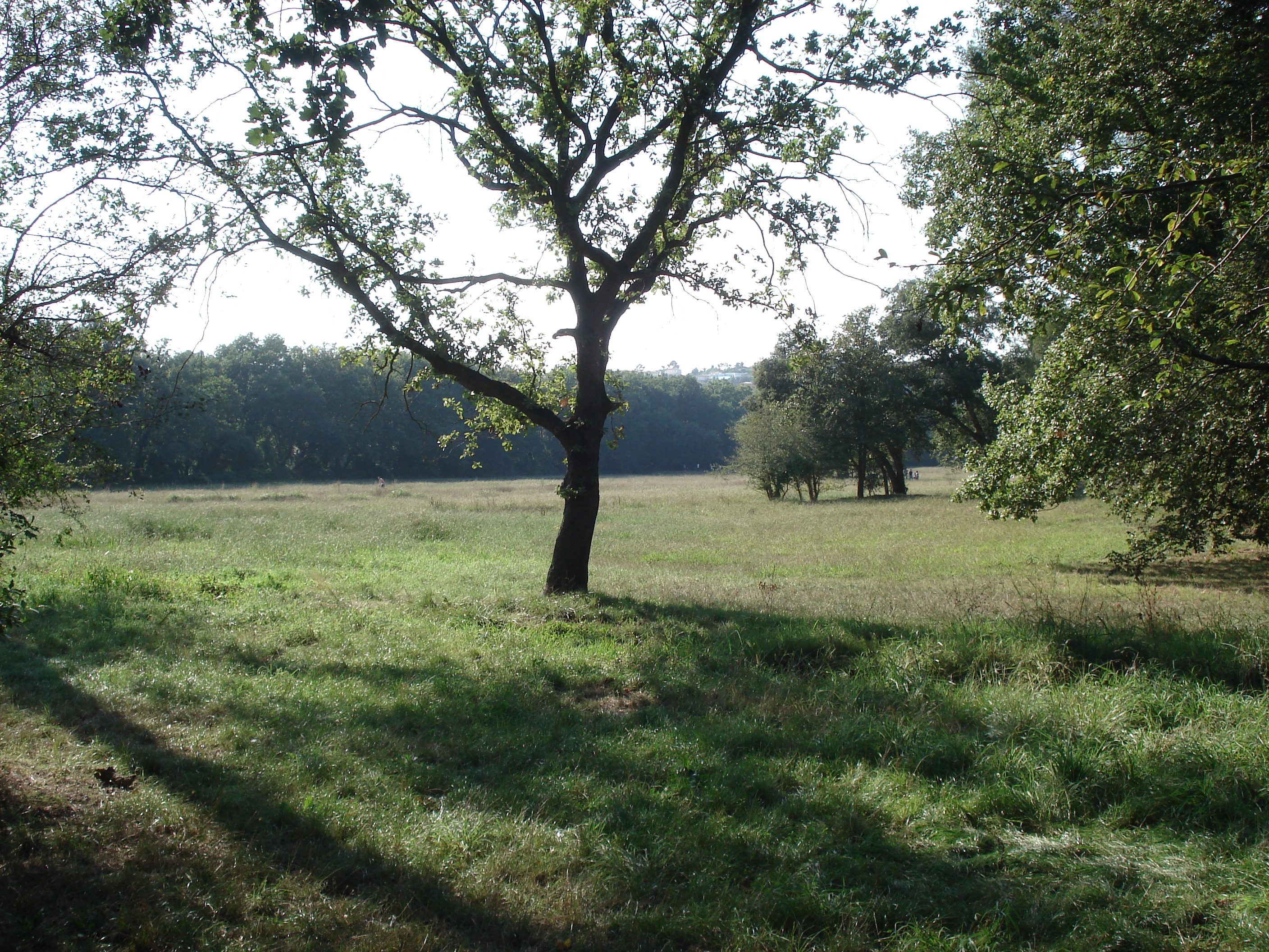 รูปถ่าย ฝรั่งเศส(France) วีลเนิฟ-ลูแบ(Villeneuve Loubet) สวนโวเกรอนีเย(Parc de Vaugrenier) 2006-09 2