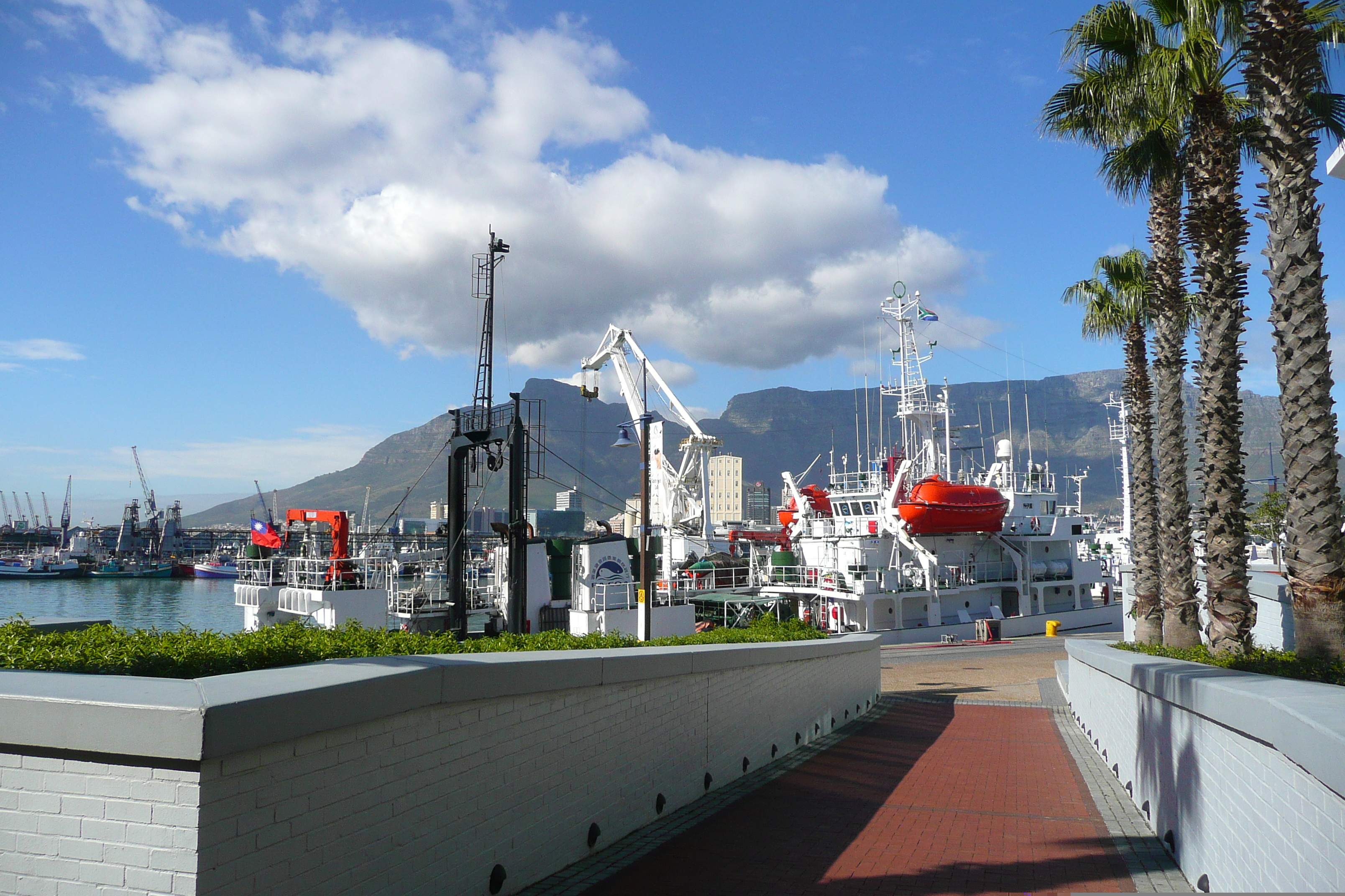รูปถ่าย แอฟริกาใต้(South Africa) เคปทาวน์(Cape Town) 2008-09 11