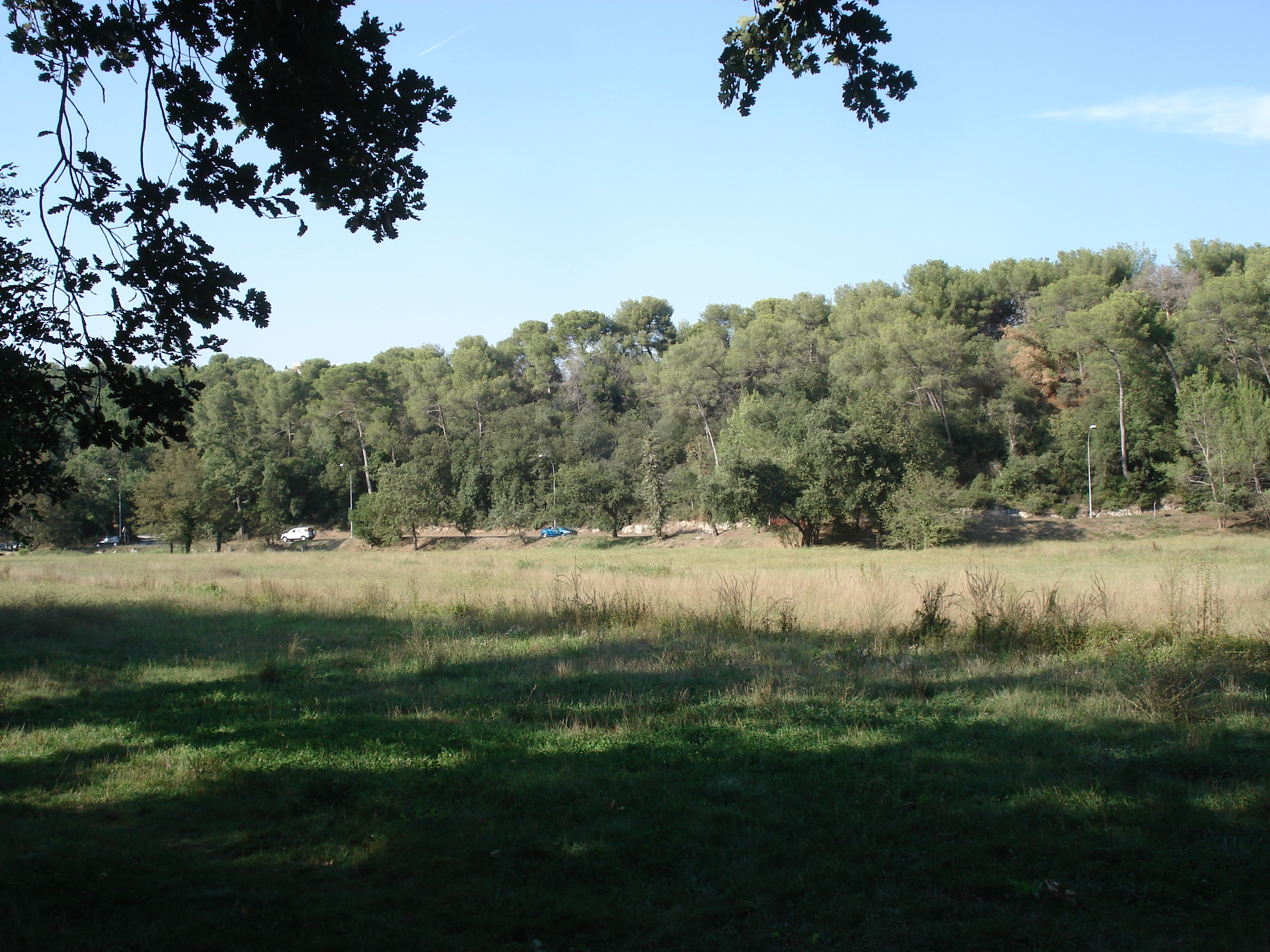 รูปถ่าย ฝรั่งเศส(France) วีลเนิฟ-ลูแบ(Villeneuve Loubet) สวนโวเกรอนีเย(Parc de Vaugrenier) 2006-09 3