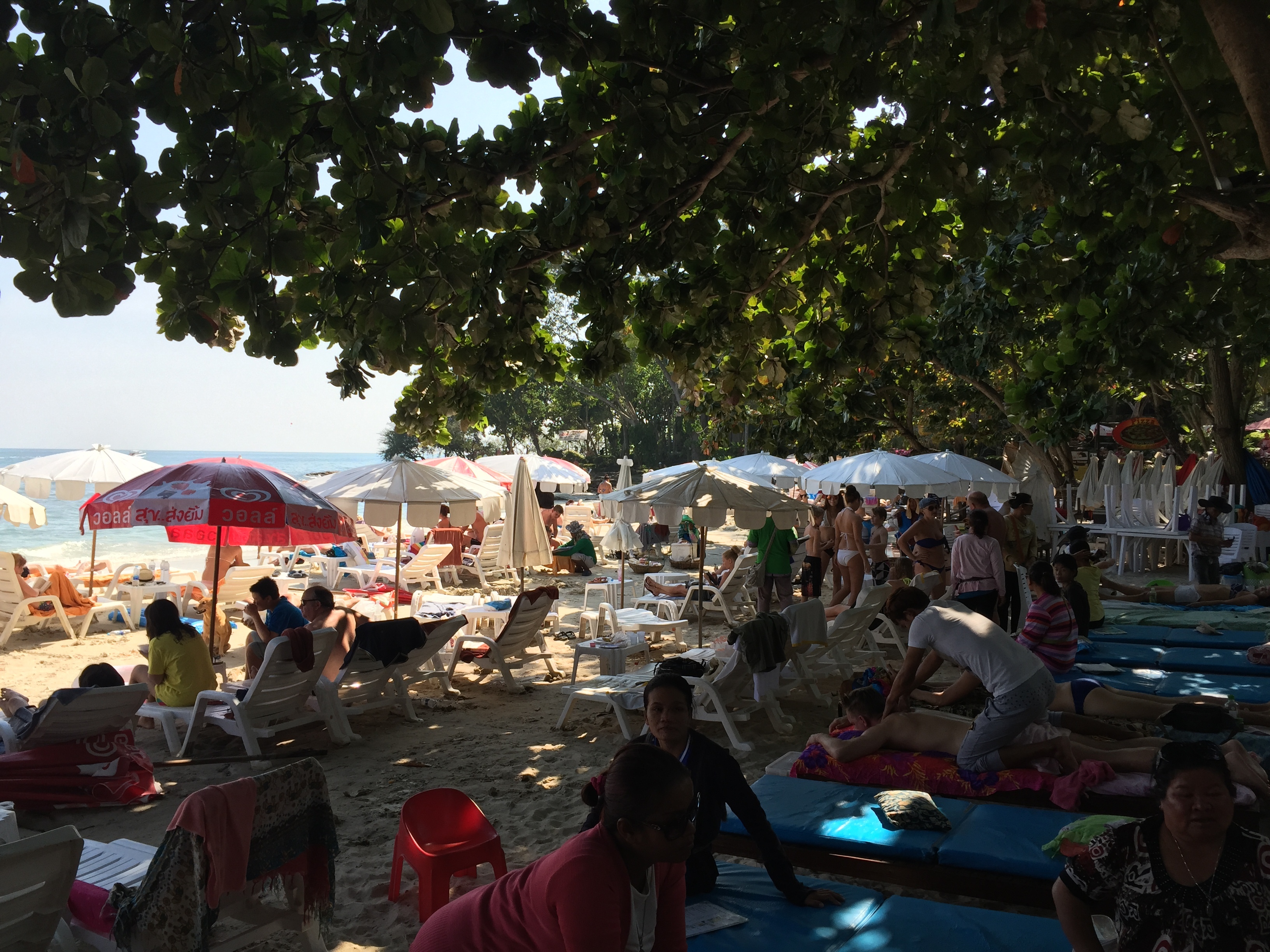 รูปถ่าย ไทย(Thailand) เกาะเสม็ด(Ko Samet) 2014-12 281