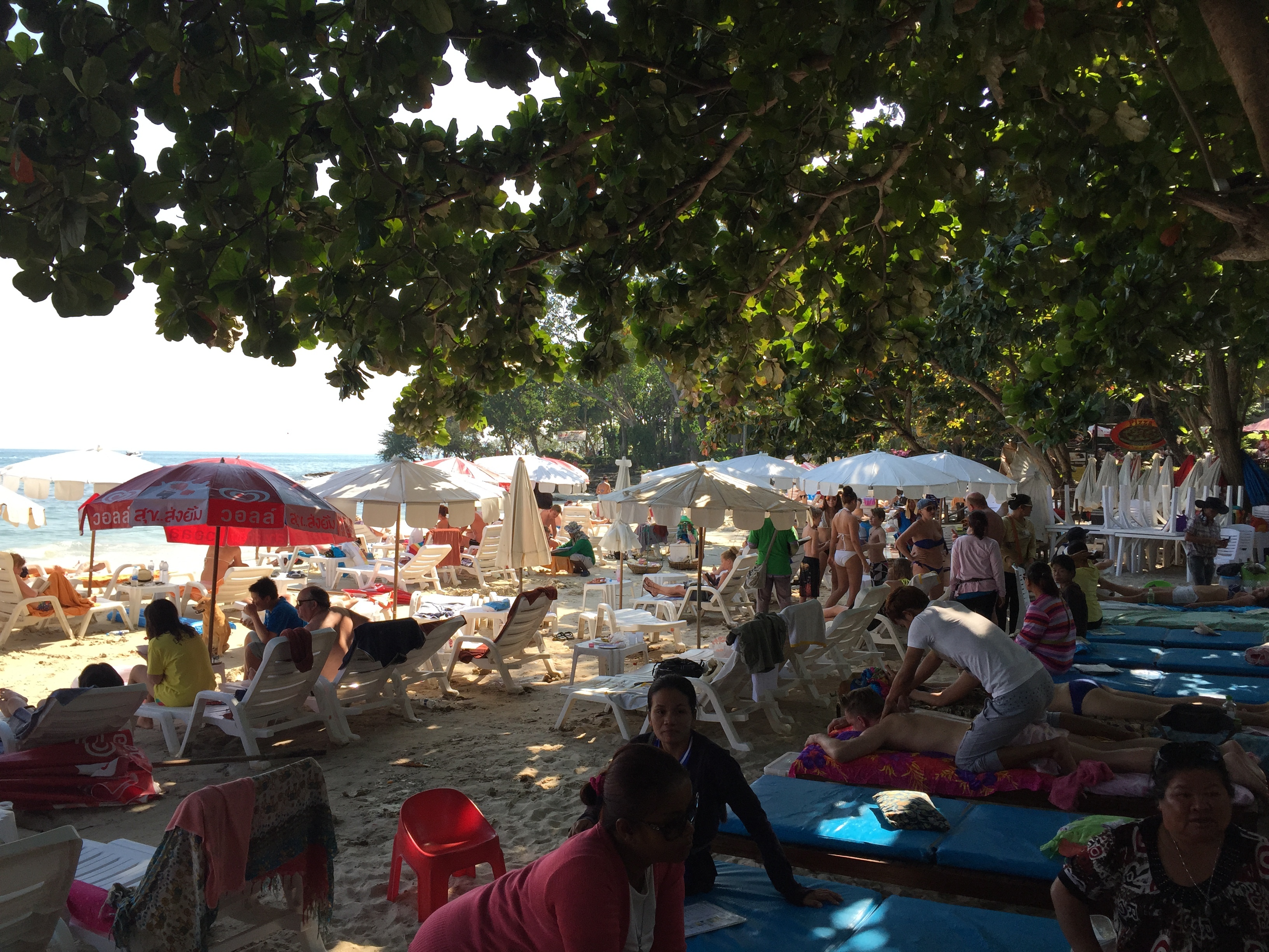 รูปถ่าย ไทย(Thailand) เกาะเสม็ด(Ko Samet) 2014-12 307
