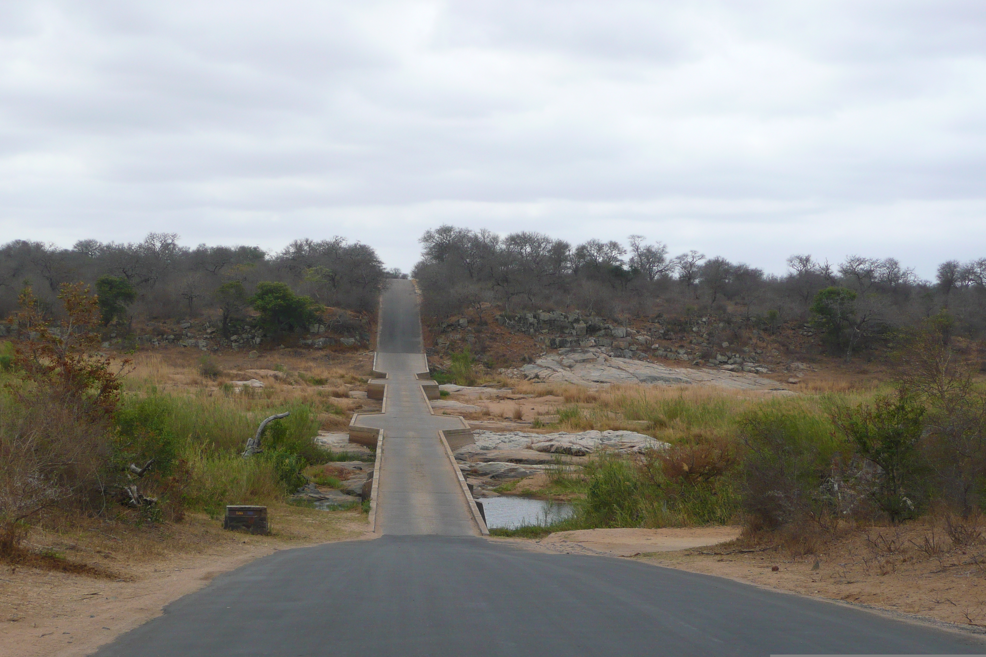 รูปถ่าย แอฟริกาใต้(South Africa) อุทยานแห่งชาติครูเกอร์(Kruger National Park) แม่น้ำซาเบิล(Sable River) 2008-09 9
