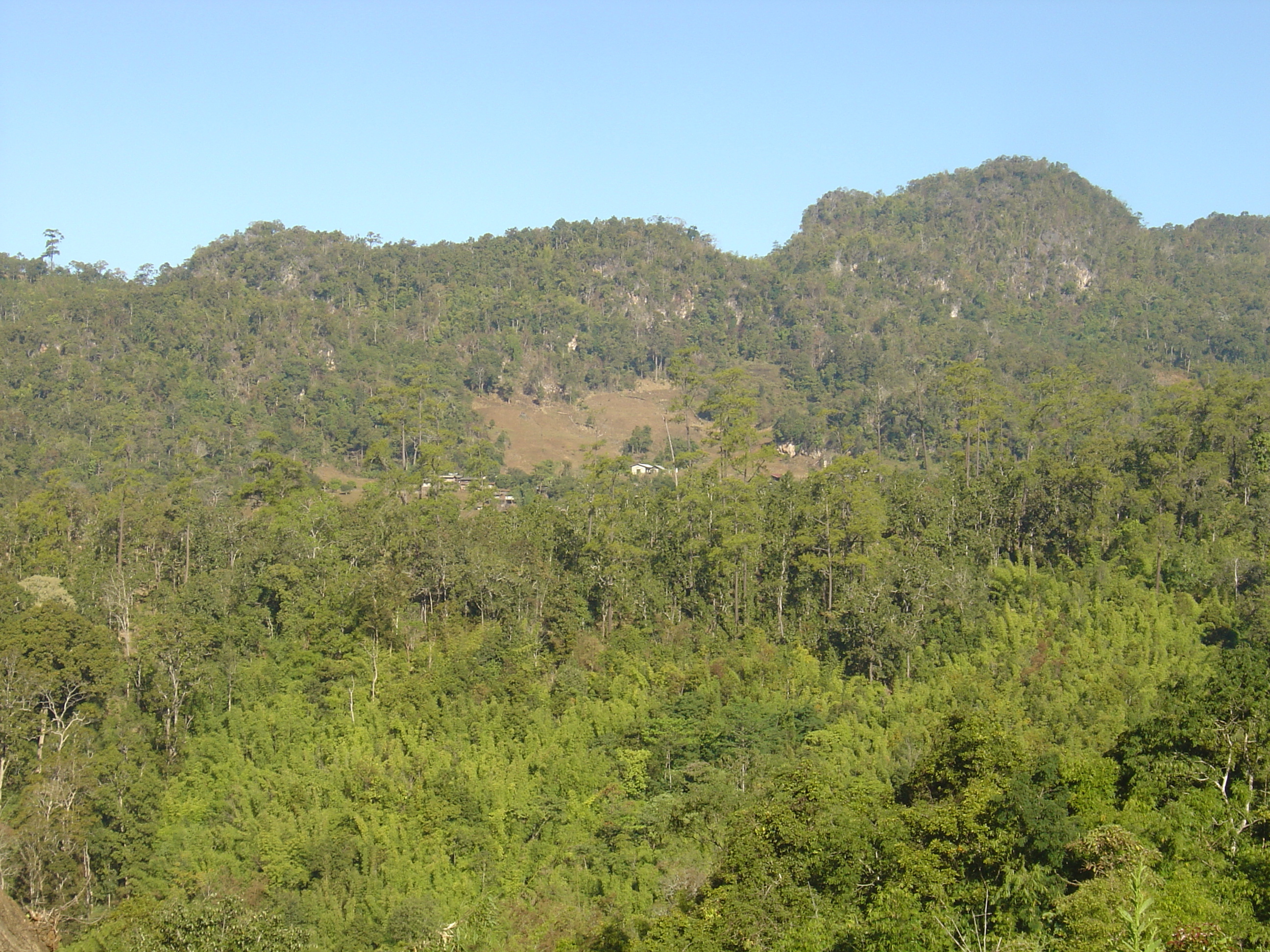 รูปถ่าย ไทย(Thailand) ปางมะผ้า(Pang Mapha) 2005-12 55