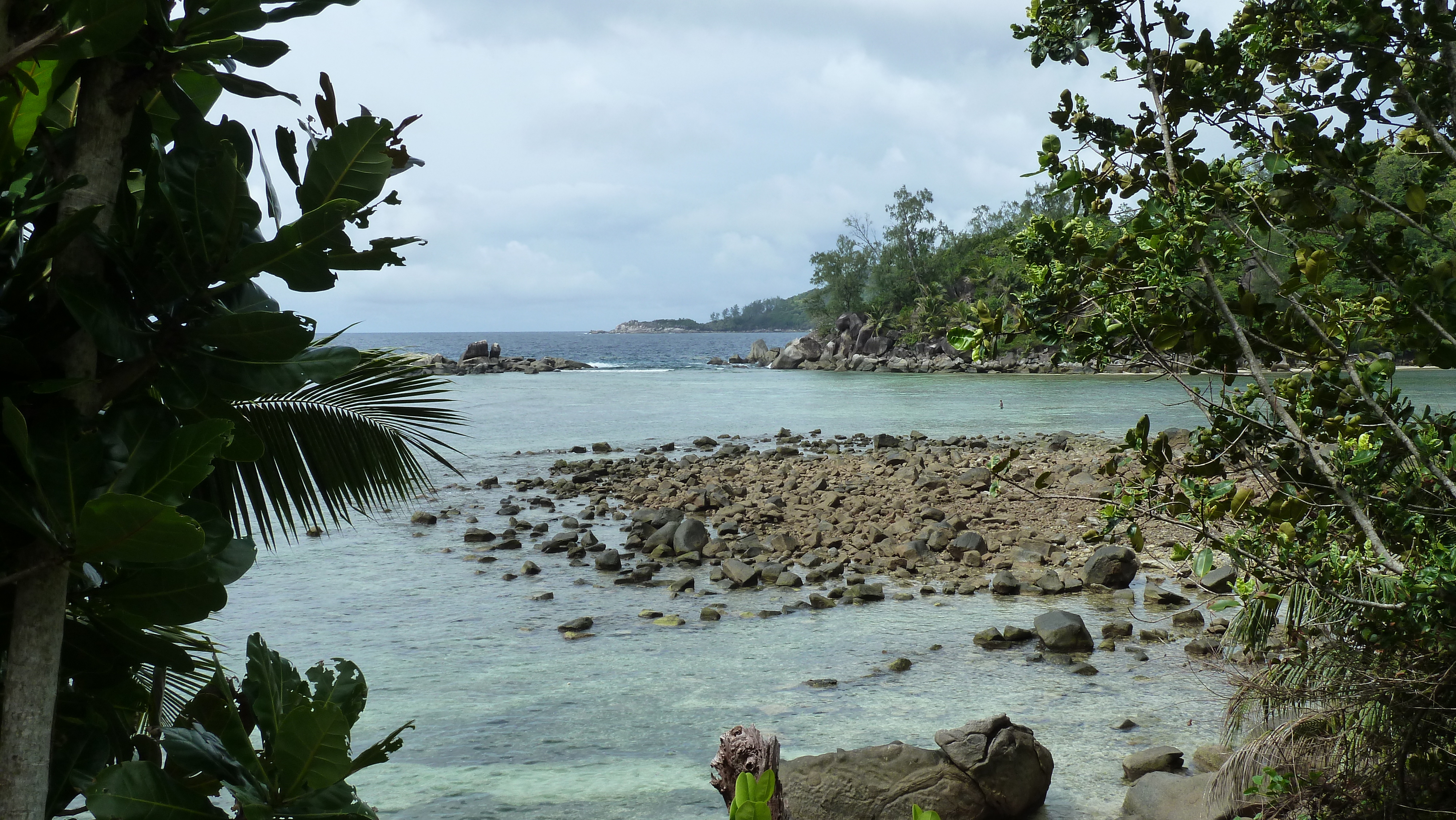 รูปถ่าย เซเชลส์(Seychelles) เกาะมาเฮ(Mahe) 2011-10 184