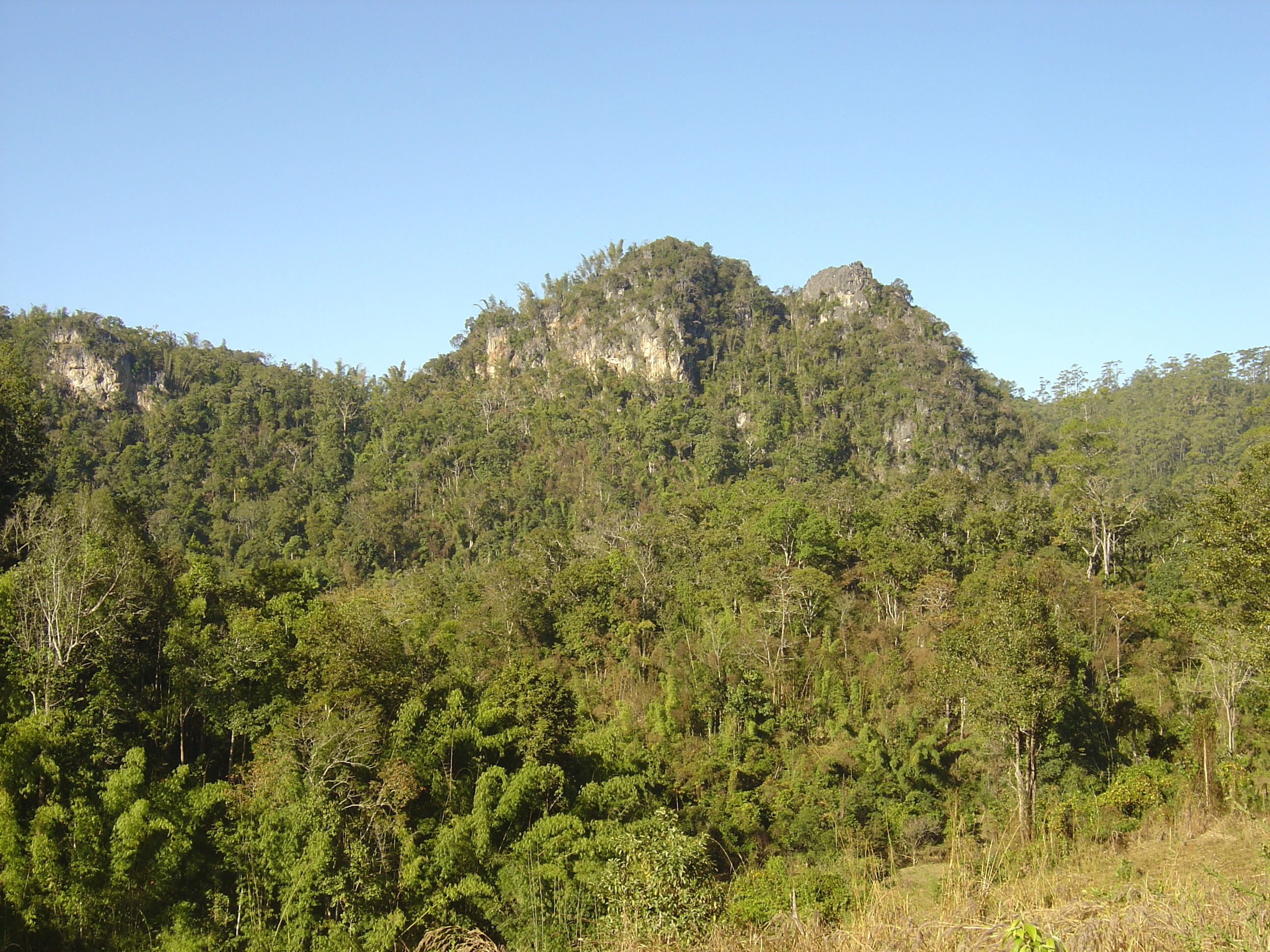 รูปถ่าย ไทย(Thailand) ปางมะผ้า(Pang Mapha) 2005-12 42