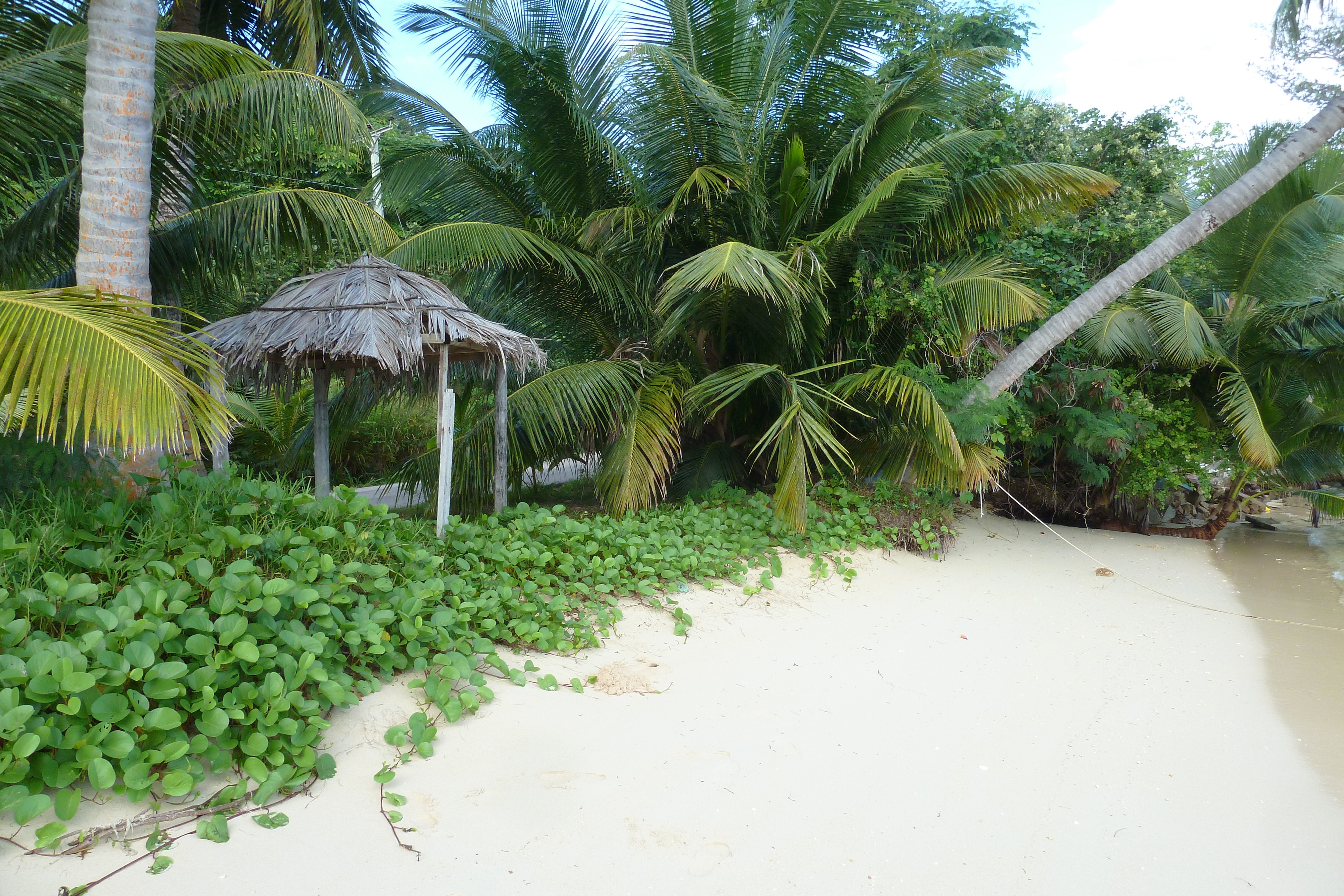 รูปถ่าย เซเชลส์(Seychelles) อ่าวอ็องส์ปอสเซสซียง(Anse Possession) 2011-10 16