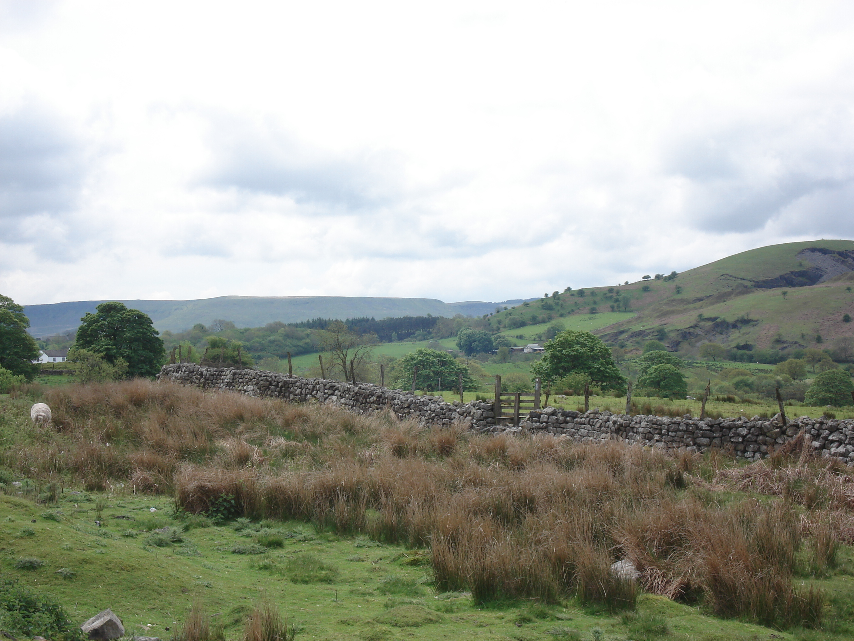 รูปถ่าย อังกฤษ(United Kingdom) อุทยานแห่งชาติเบรคอนบีคอนส์(Brecon Beacons National Park) 2006-05 86