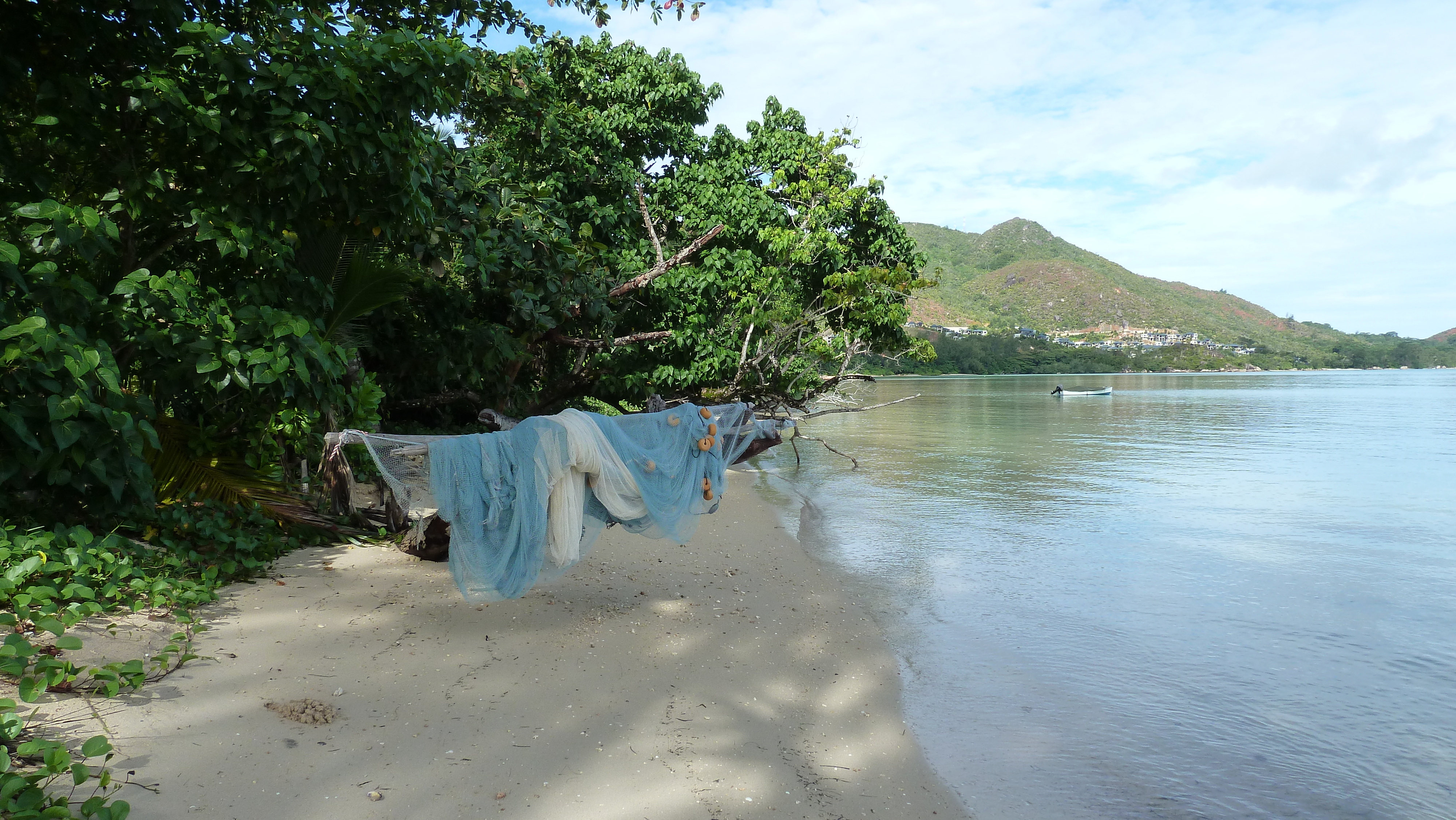 รูปถ่าย เซเชลส์(Seychelles) อ่าวอ็องส์ปอสเซสซียง(Anse Possession) 2011-10 41