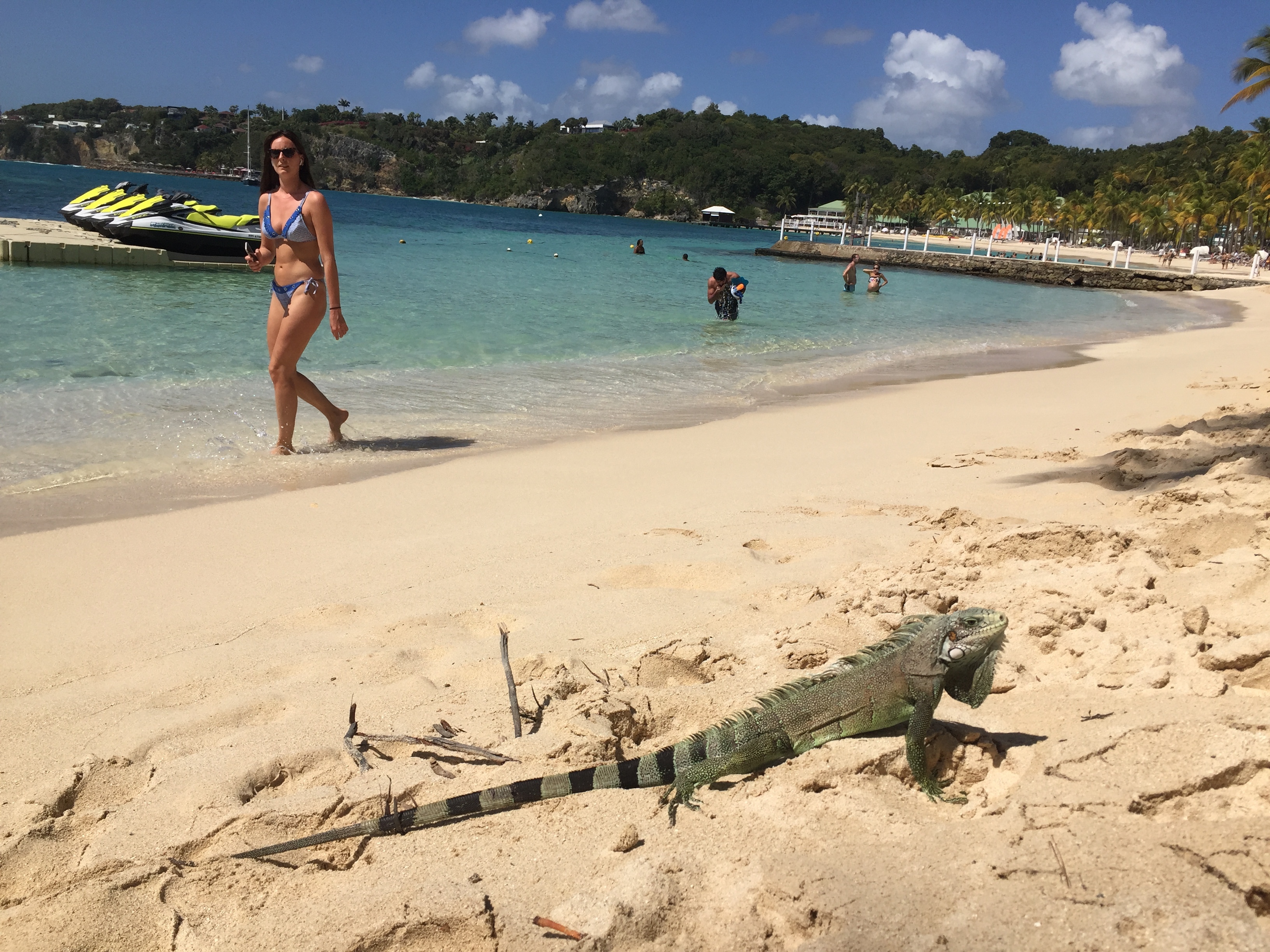 รูปถ่าย กวาเดอลูป(Guadeloupe) หาดลาการาแวล(La Caravelle Beach) 2021-02 96