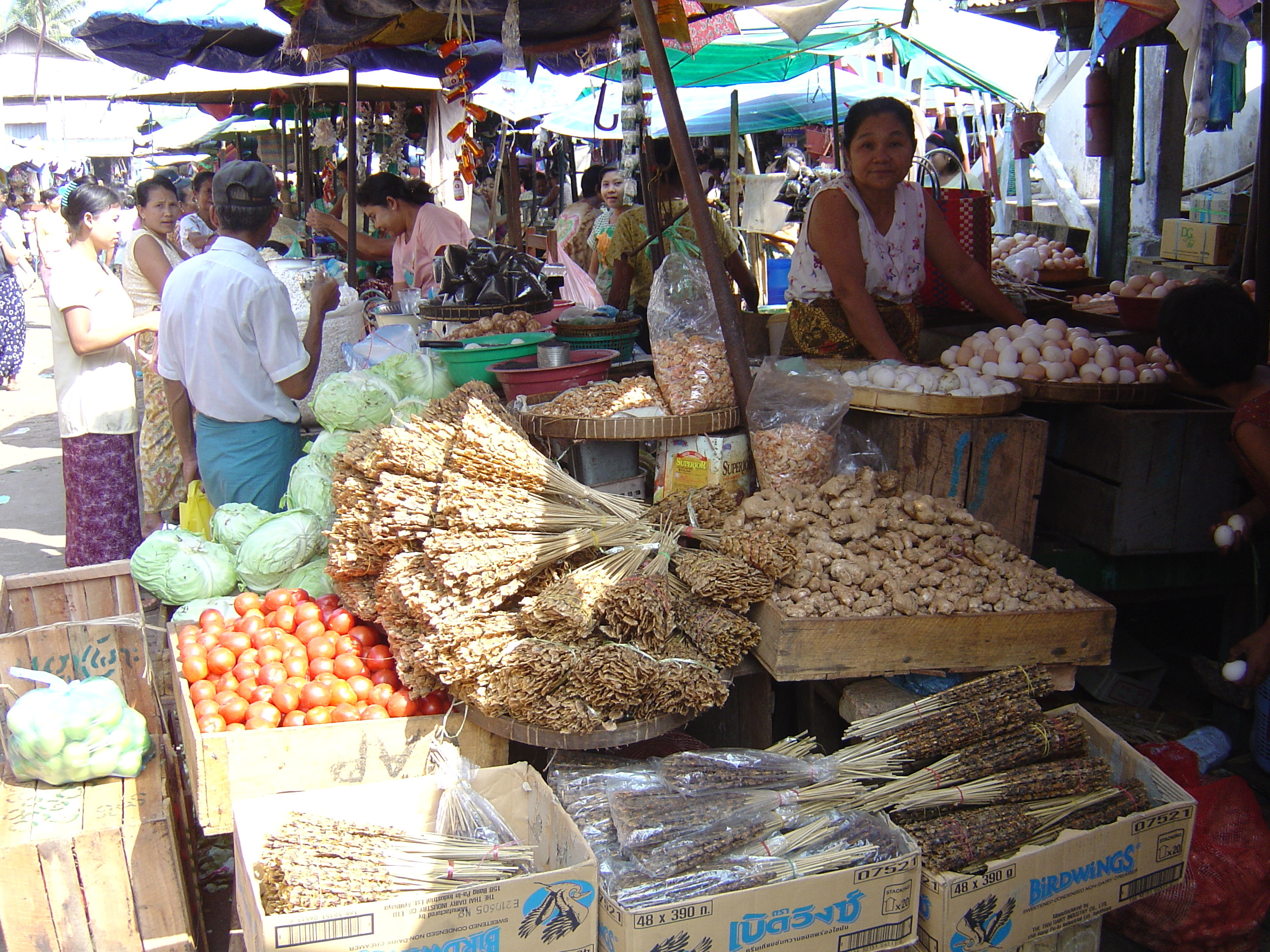รูปถ่าย พม่า(Myanmar) ทวาย(Dawei (TAVOY)) 2005-01 108