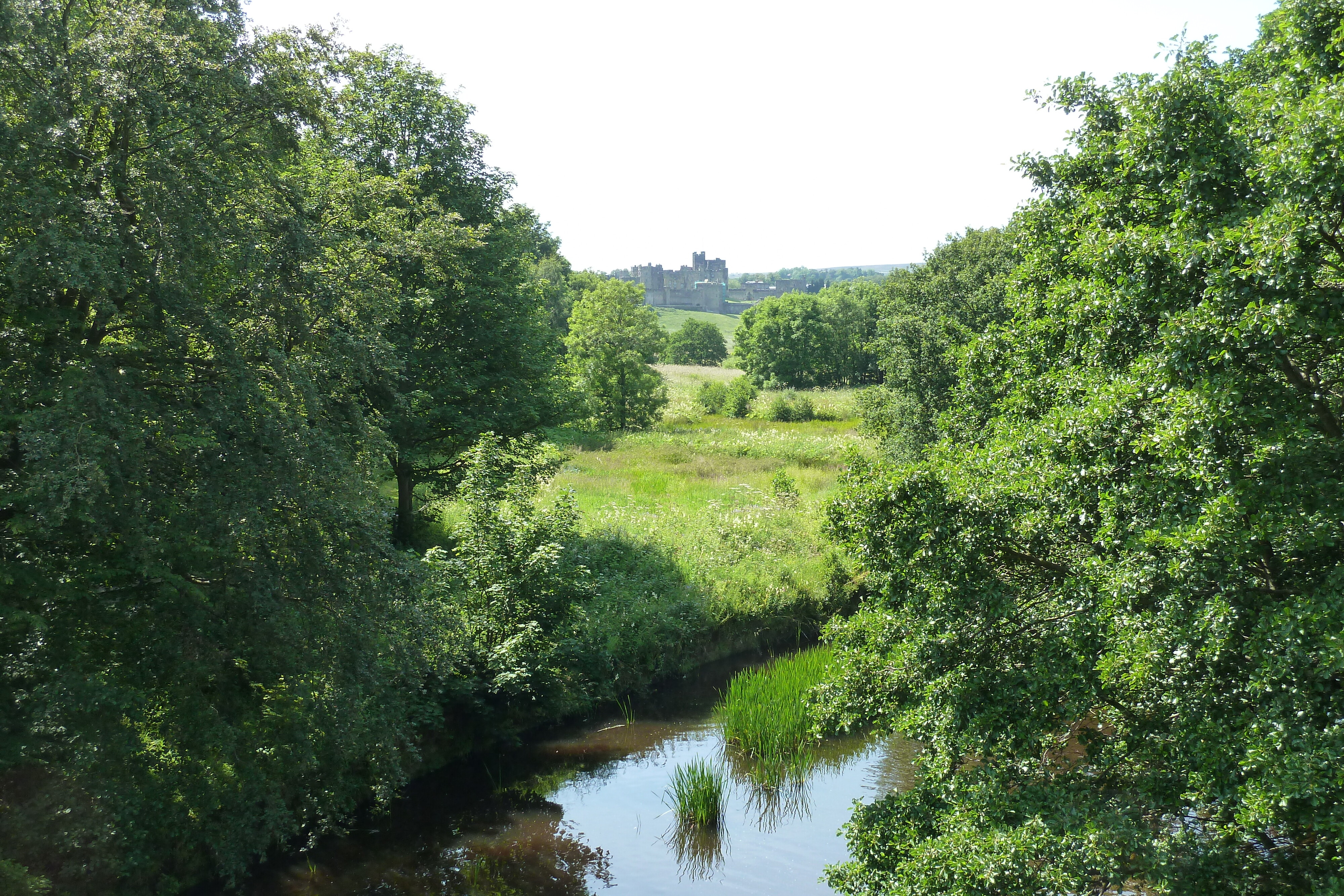 รูปถ่าย อังกฤษ(United Kingdom) สกอตแลนด์(Scotland) แอนนิก(Alnwick) 2011-07 25
