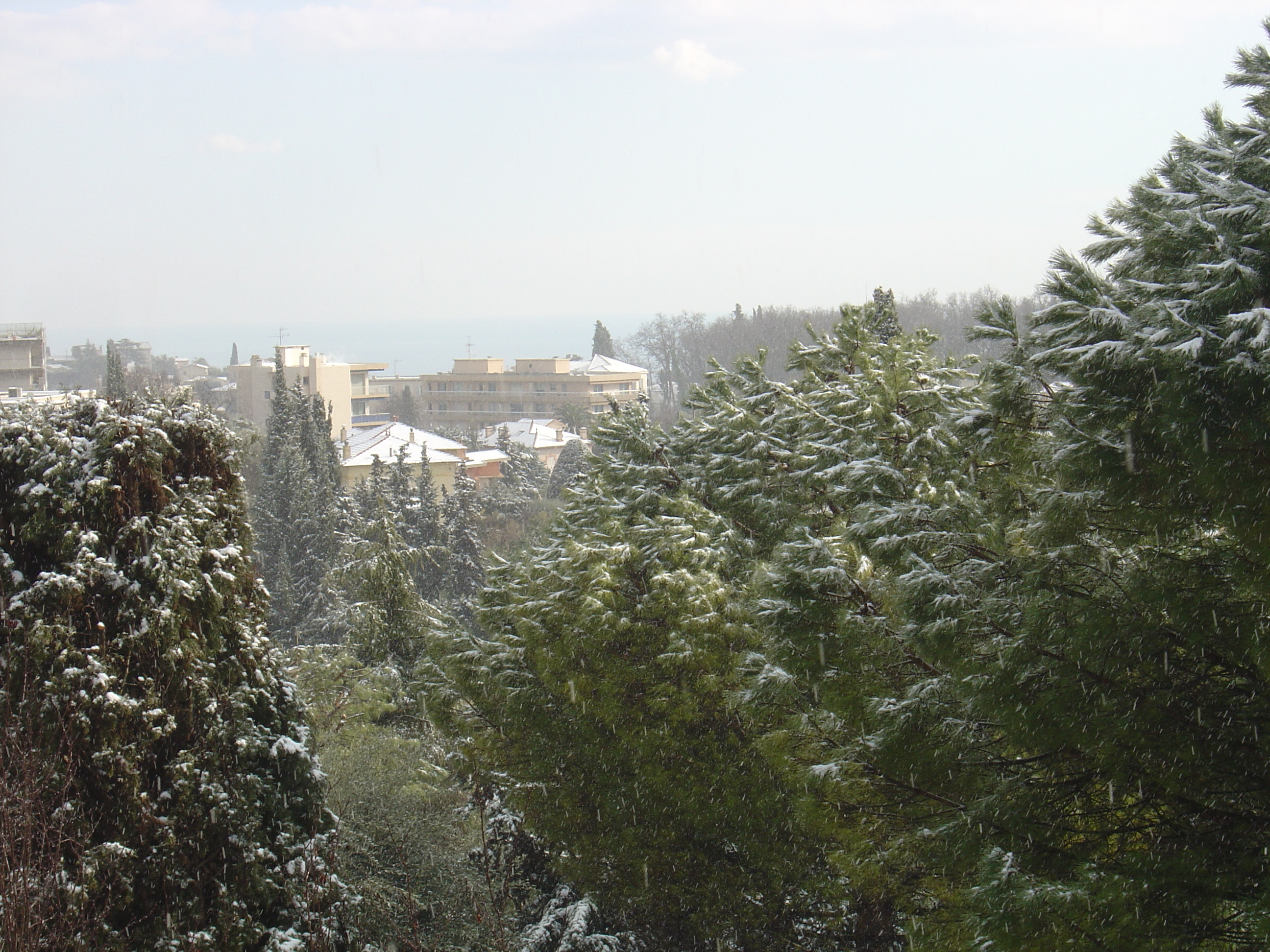 รูปถ่าย ฝรั่งเศส(France) วังซ์(Vence) 2005-02 5
