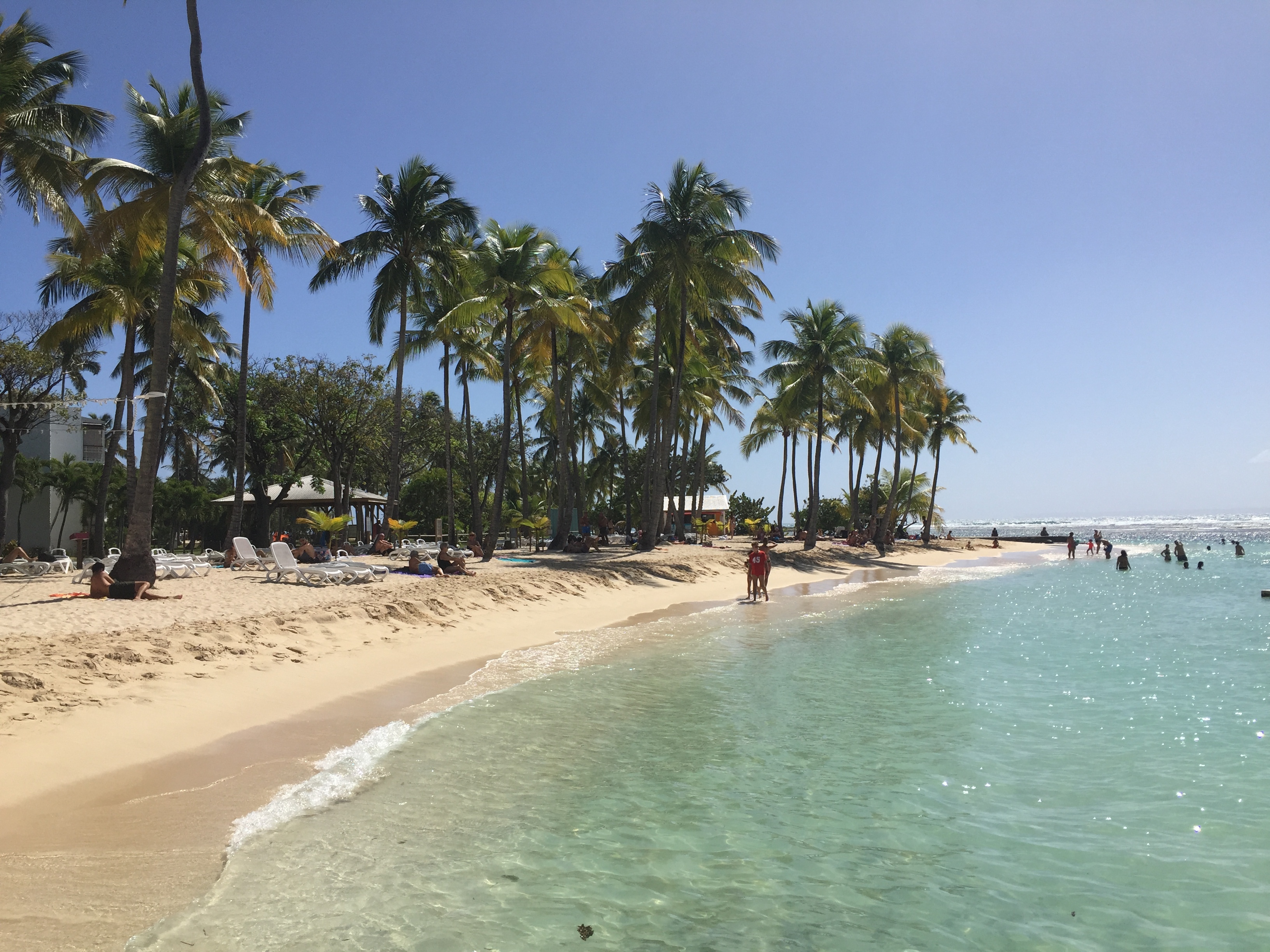 รูปถ่าย กวาเดอลูป(Guadeloupe) หาดลาการาแวล(La Caravelle Beach) 2021-02 86