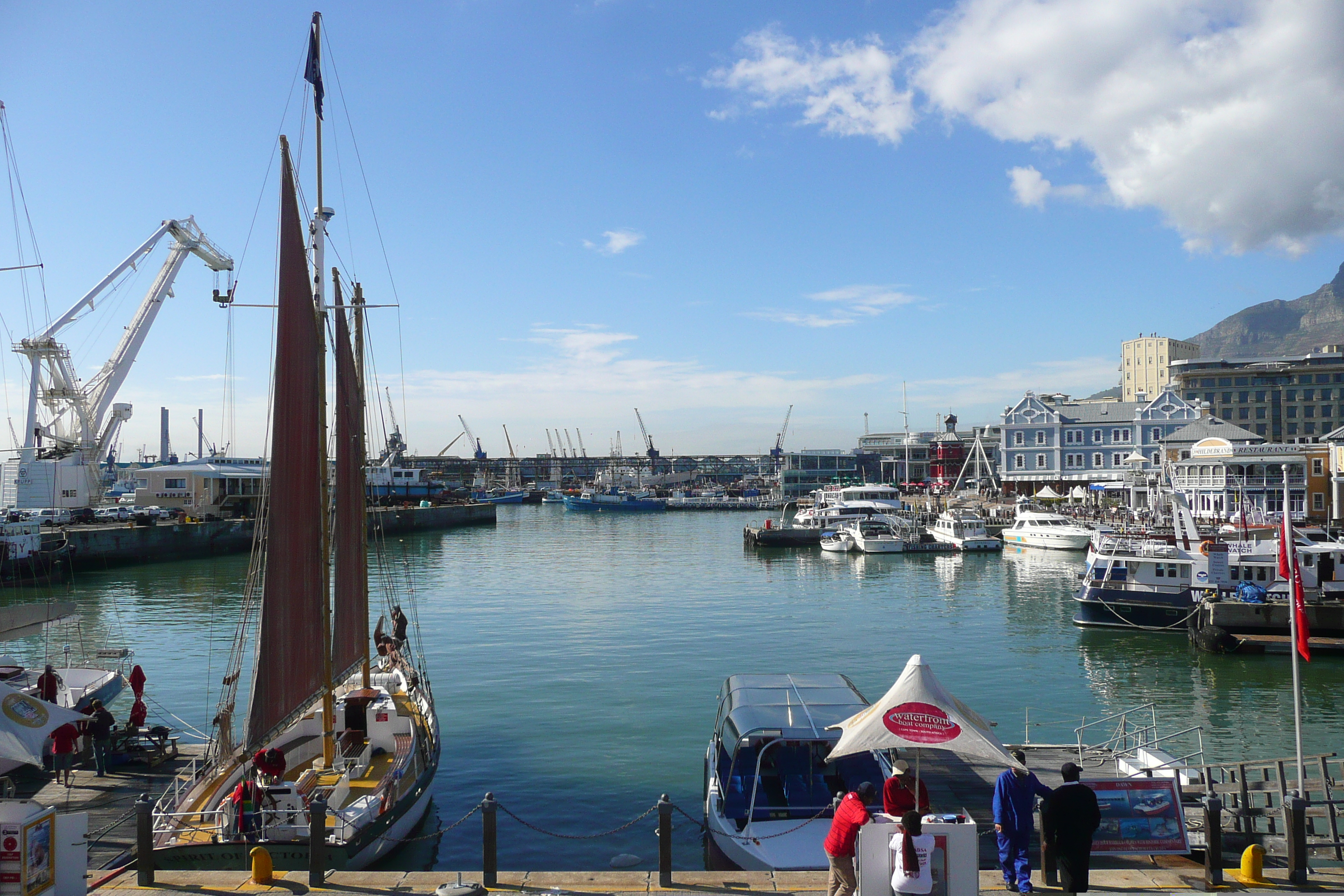 รูปถ่าย แอฟริกาใต้(South Africa) เคปทาวน์(Cape Town) 2008-09 7
