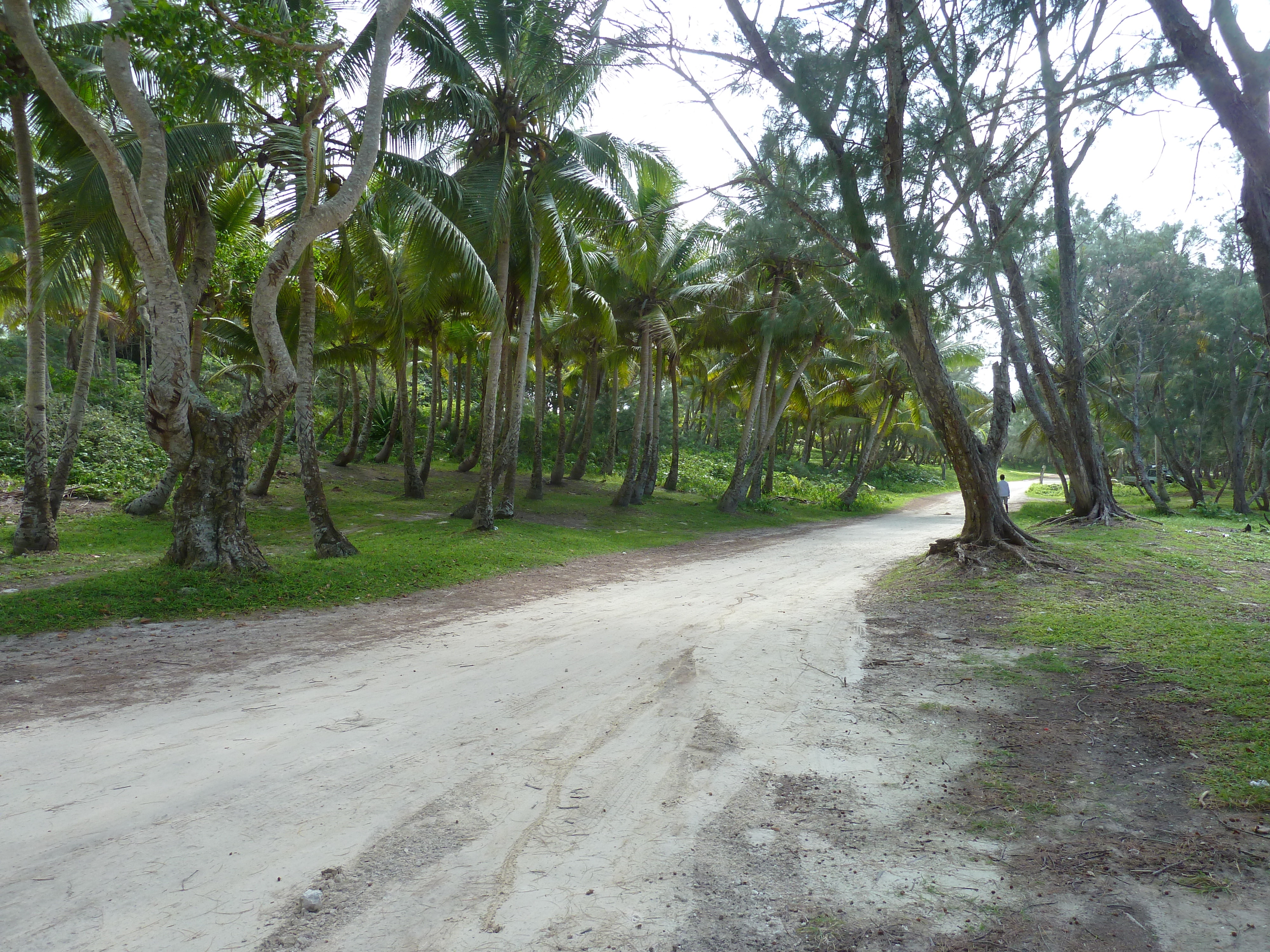 รูปถ่าย นิวแคลิโดเนีย(New Caledonia) เกาะลีฟู(Lifou) อ่าวชาโตบรีย็อง(Chateaubriand Bay) 2010-05 98