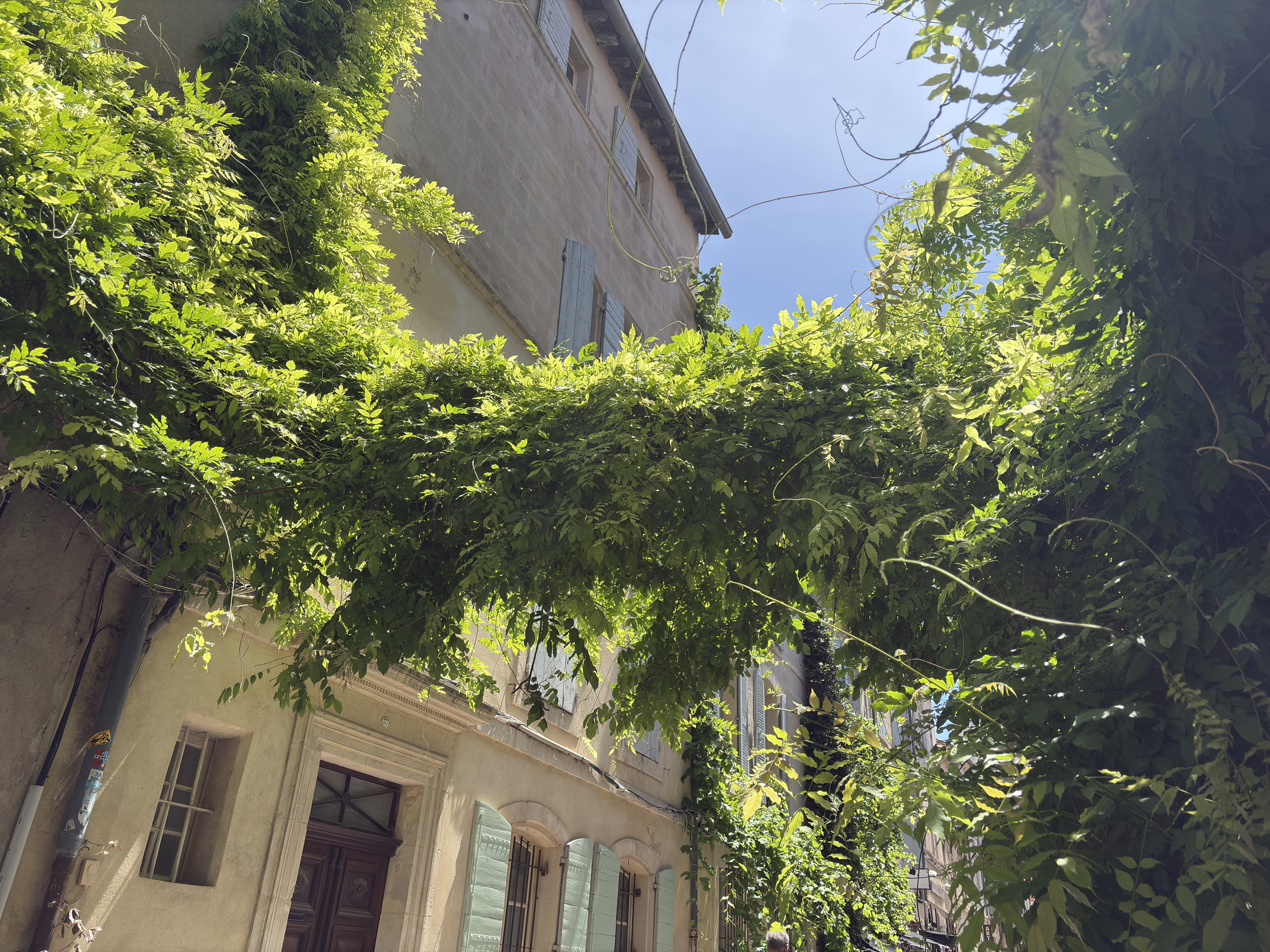 รูปถ่าย ฝรั่งเศส(France) อาร์เลอ(Arles) 2026-06 4