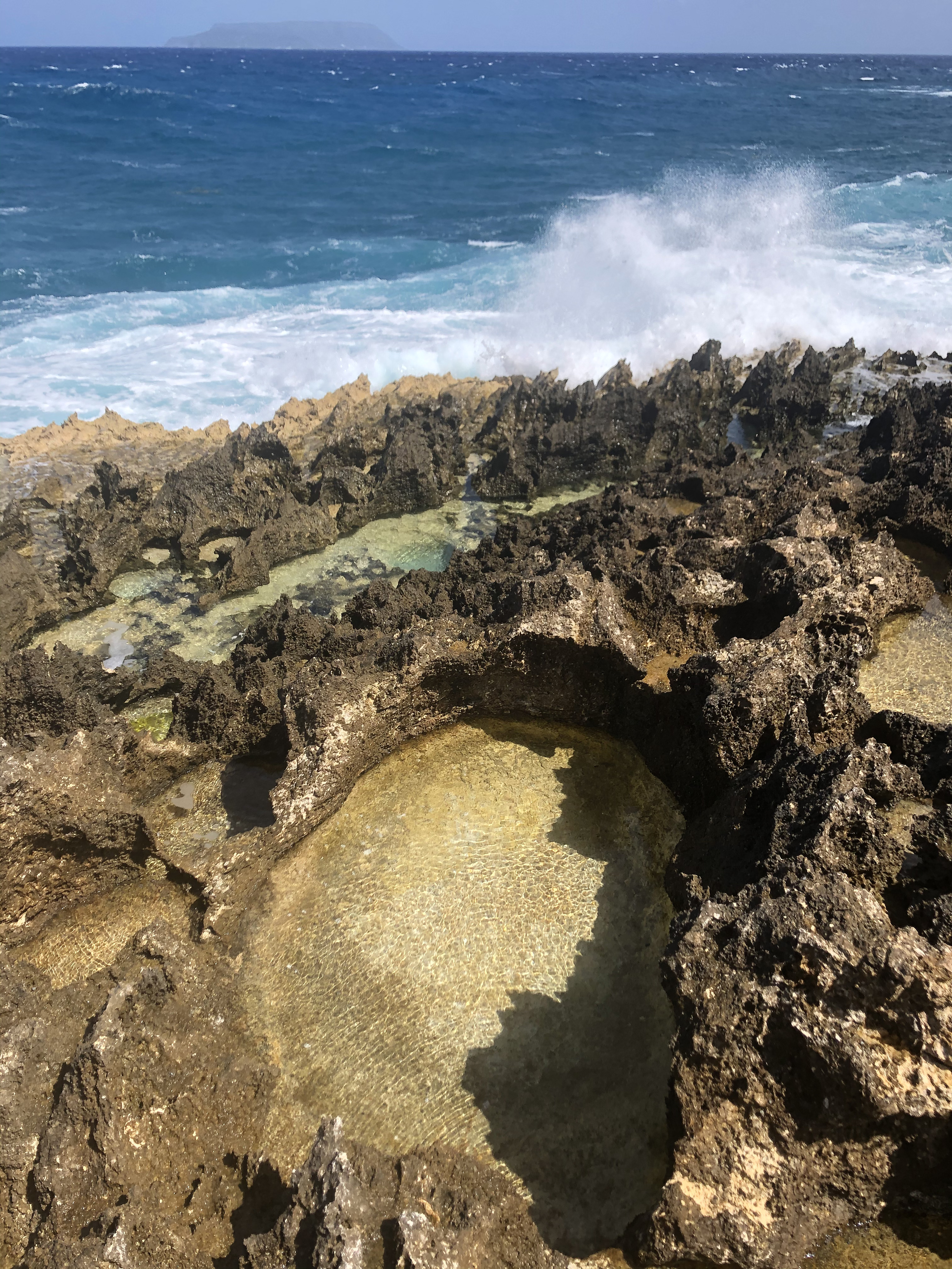 รูปถ่าย กวาเดอลูป(Guadeloupe) แหลมคาสเซิลพอยต์(Castle Point) 2021-02 219