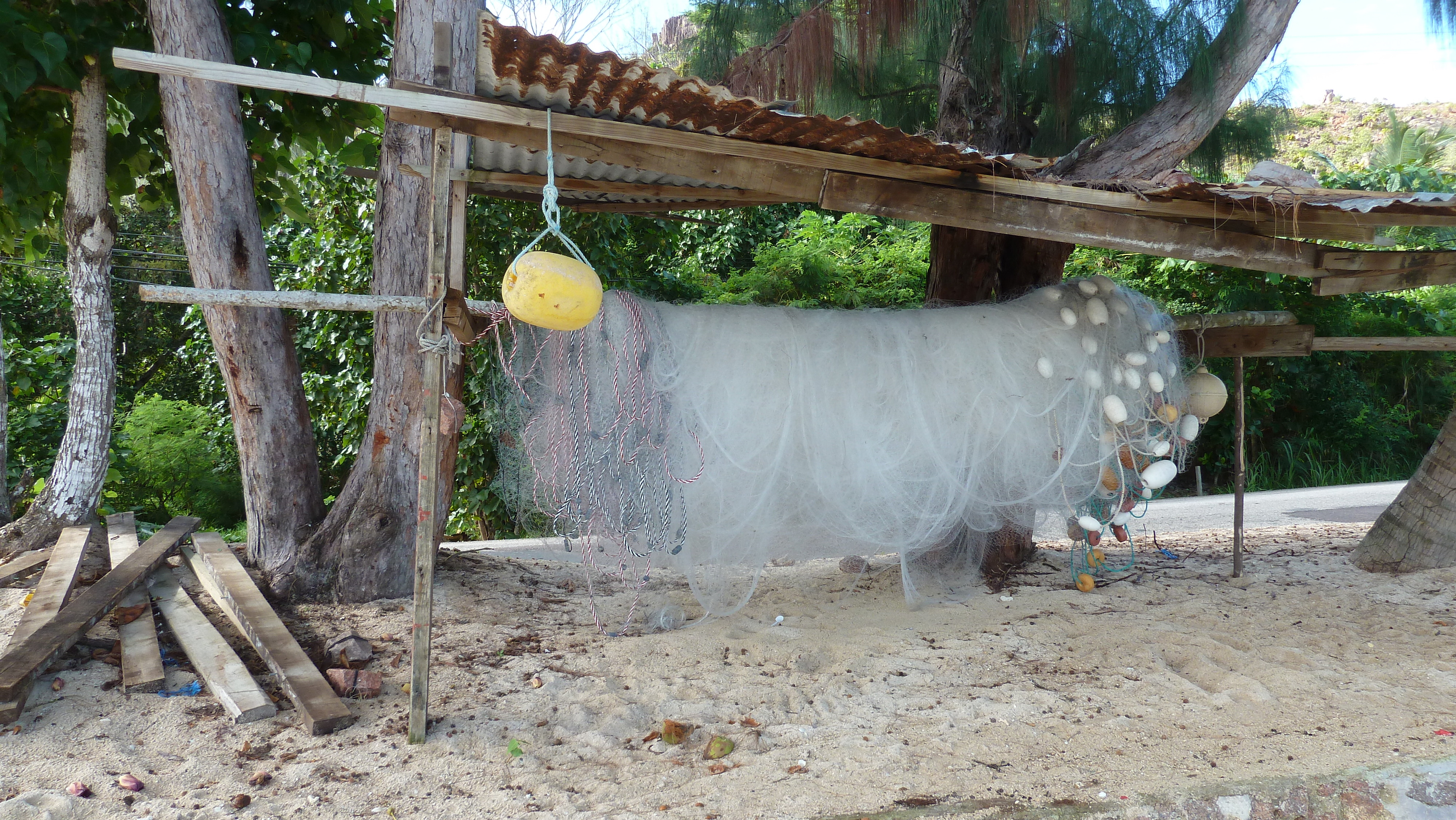 รูปถ่าย เซเชลส์(Seychelles) 2011-10 91