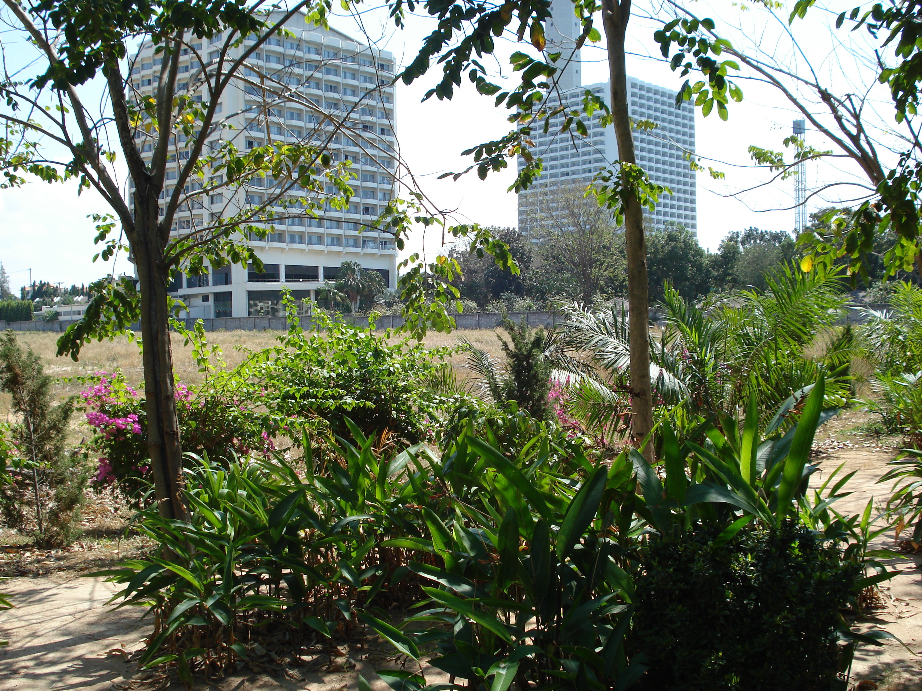 รูปถ่าย ไทย(Thailand) คอนโดวิวทะเลบีช(Viewtalay beach condo) 2007-02 12