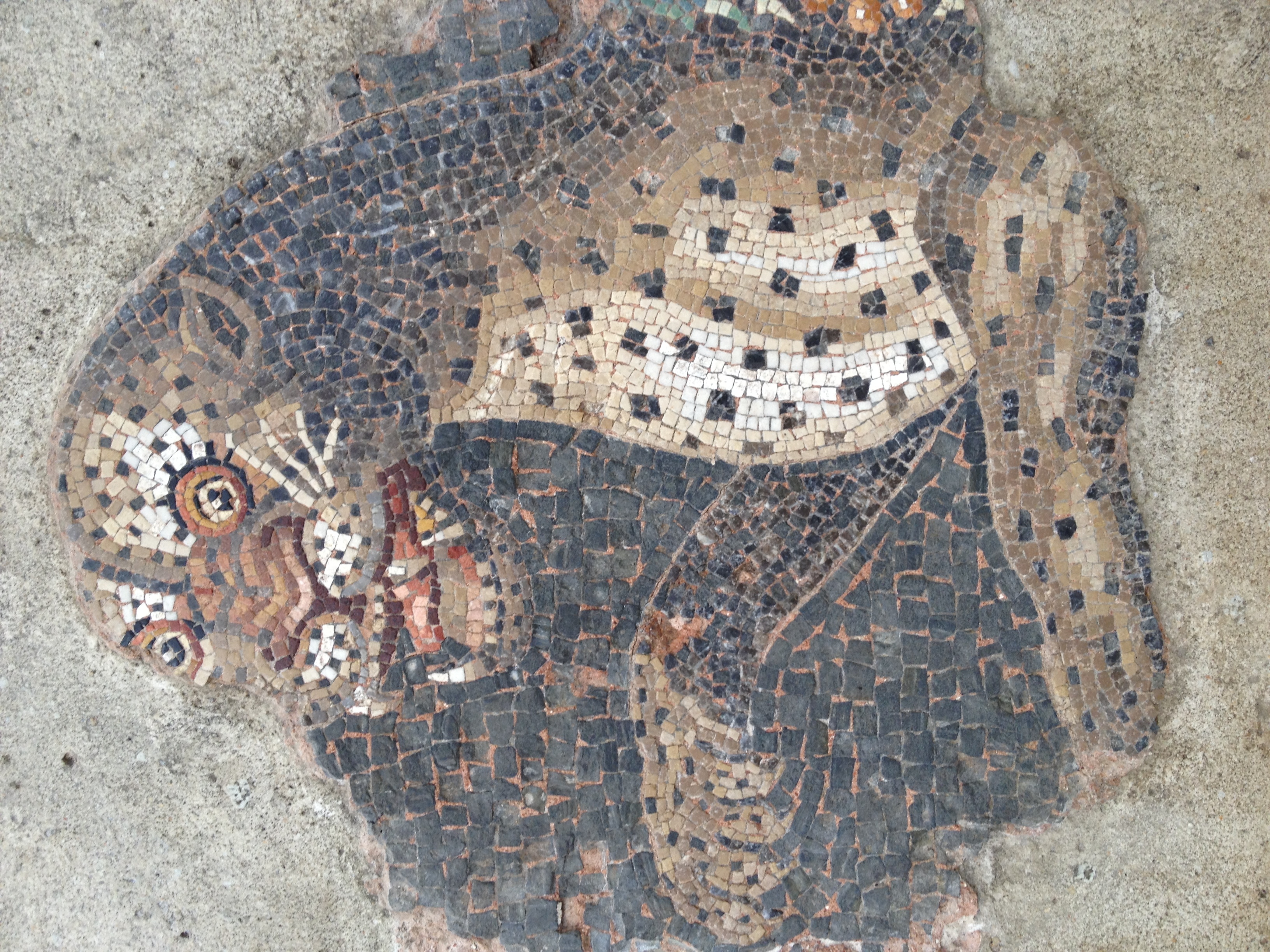 รูปถ่าย กรีก(Greece) เกาะดีลอส(Delos) 2014-07 102