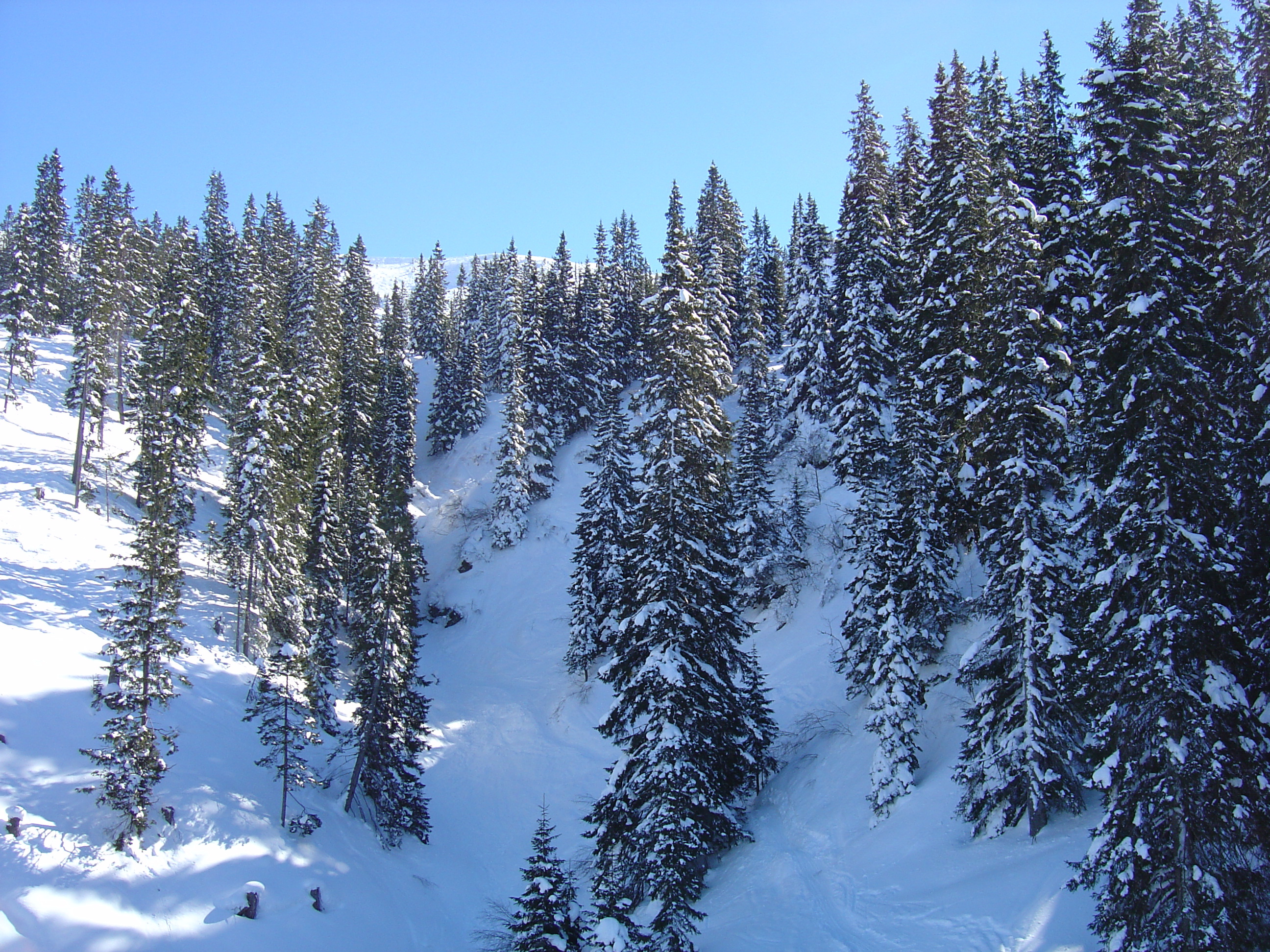 รูปถ่าย ออสเตรีย(Austria) คิทซ์บูเฮล(Kitzbuhel) สกี(Ski) 2005-03 5