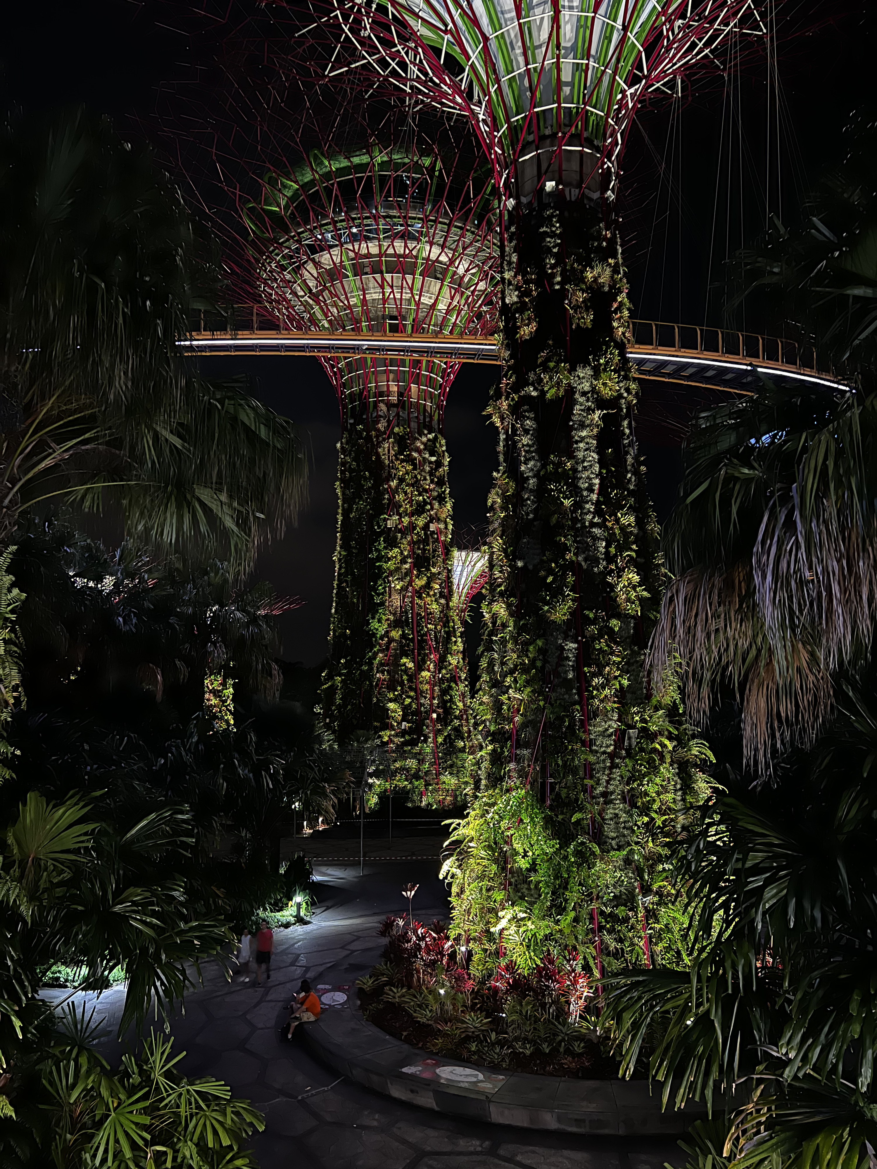รูปถ่าย สิงคโปร์(Singapore) การ์เดนส์บายเดอะเบย์(Garden by the bay) 2023-01 33
