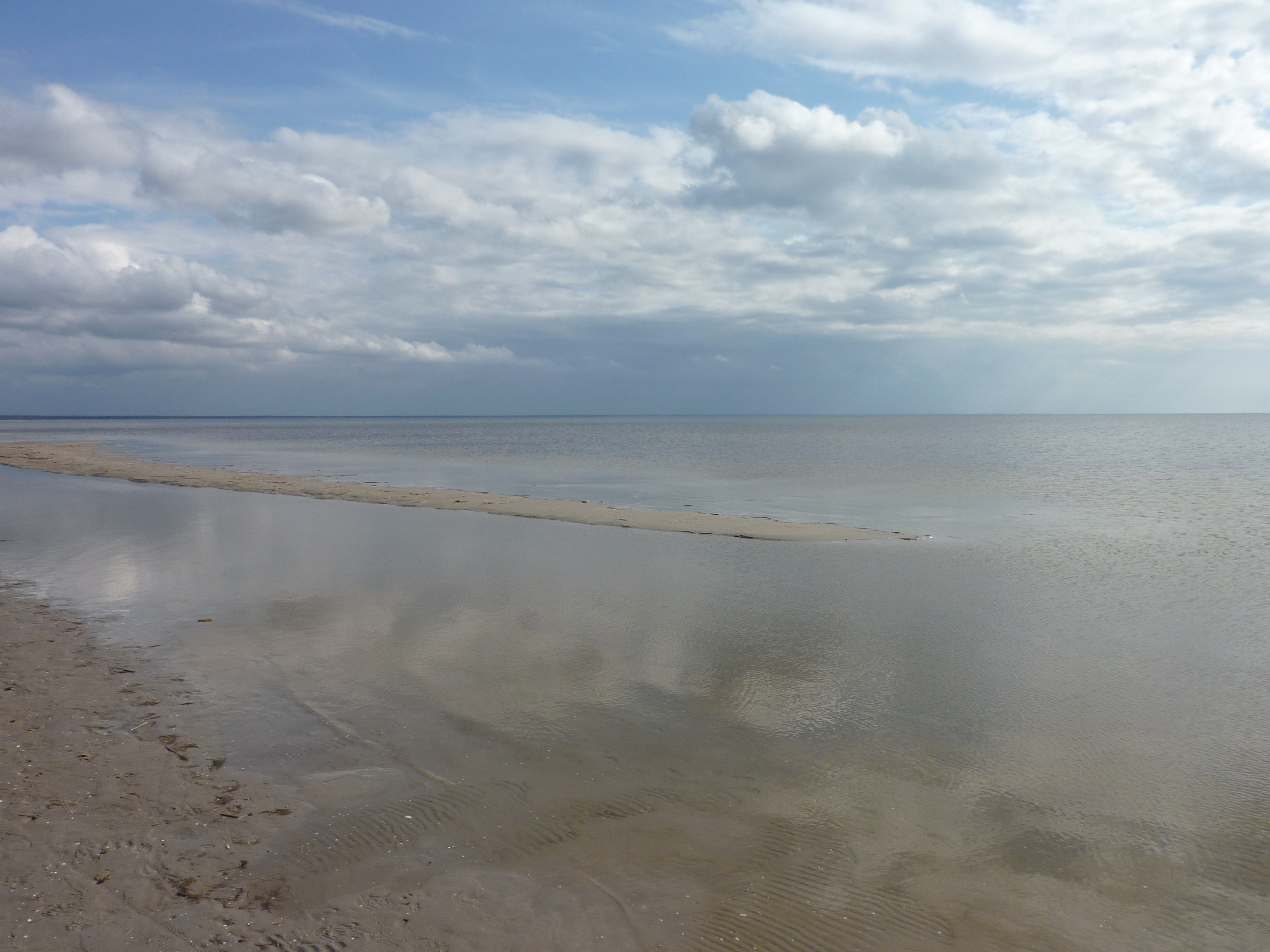 รูปถ่าย เอสโตเนีย(Estonia) แพร์นู(Parnu) 2009-04 28