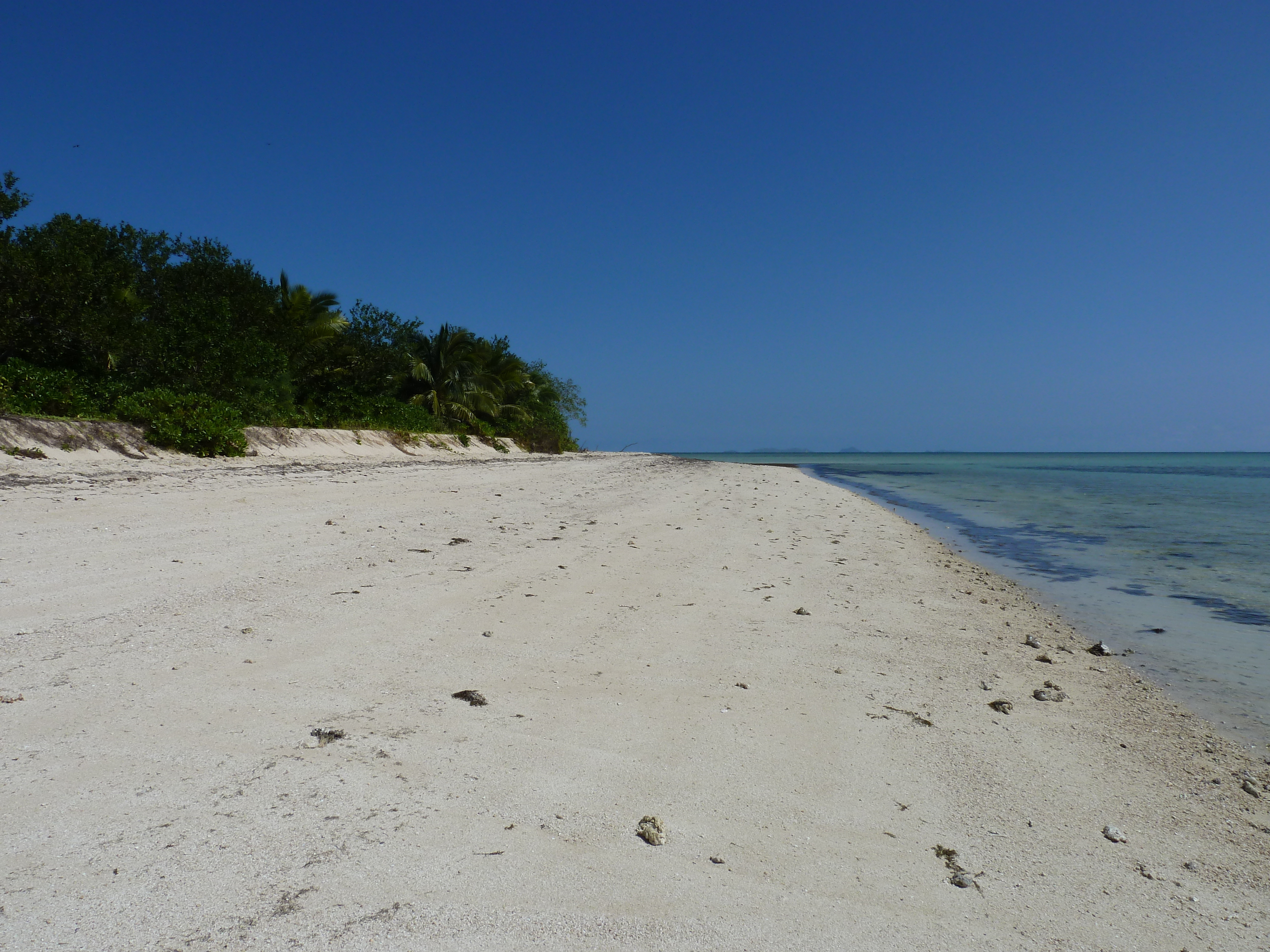 รูปถ่าย ฟิจิ(Fiji) เรือสำราญกัปตันคุก(Captain Cook Cruises) 2010-05 84