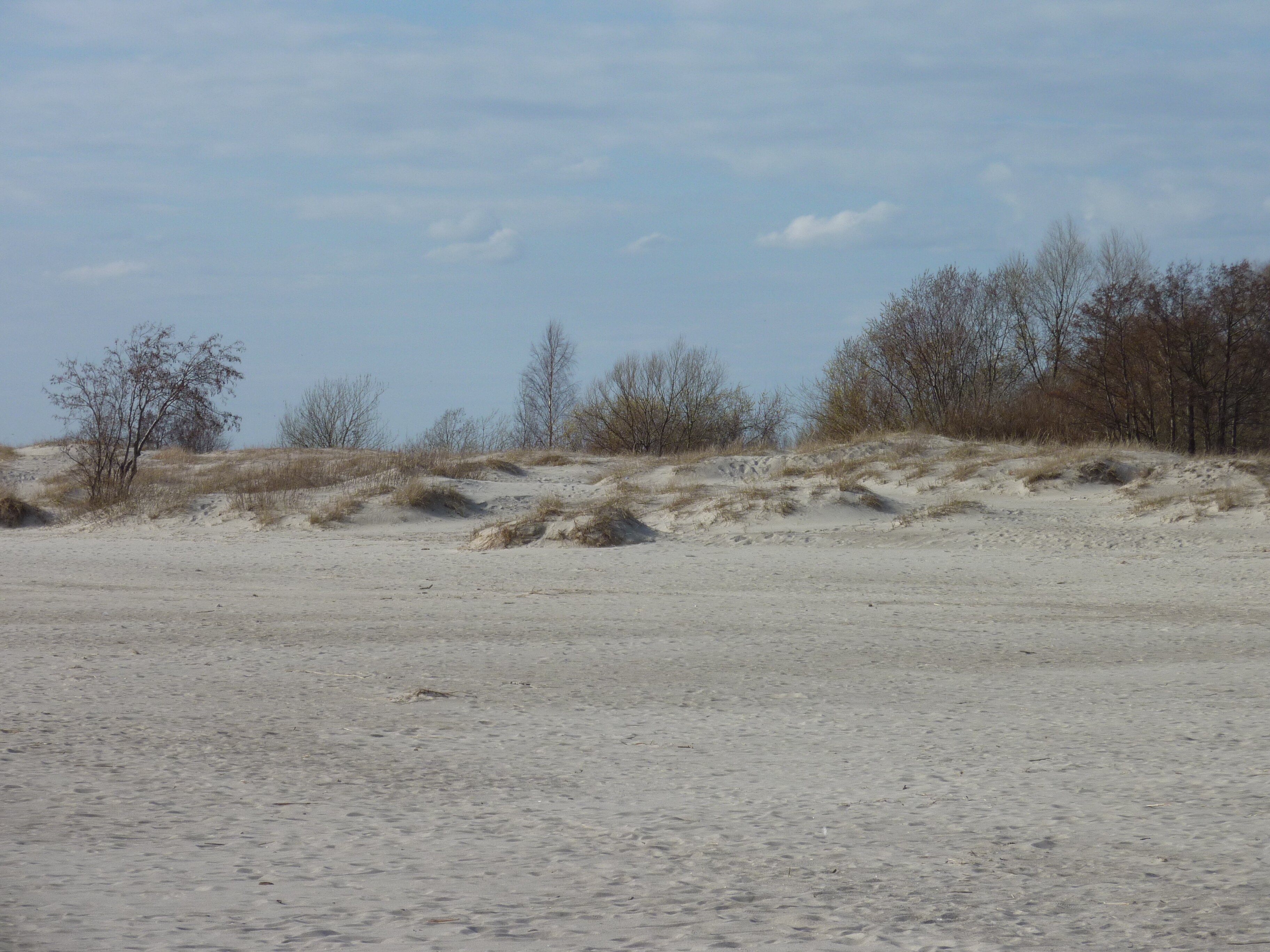 รูปถ่าย เอสโตเนีย(Estonia) แพร์นู(Parnu) 2009-04 1