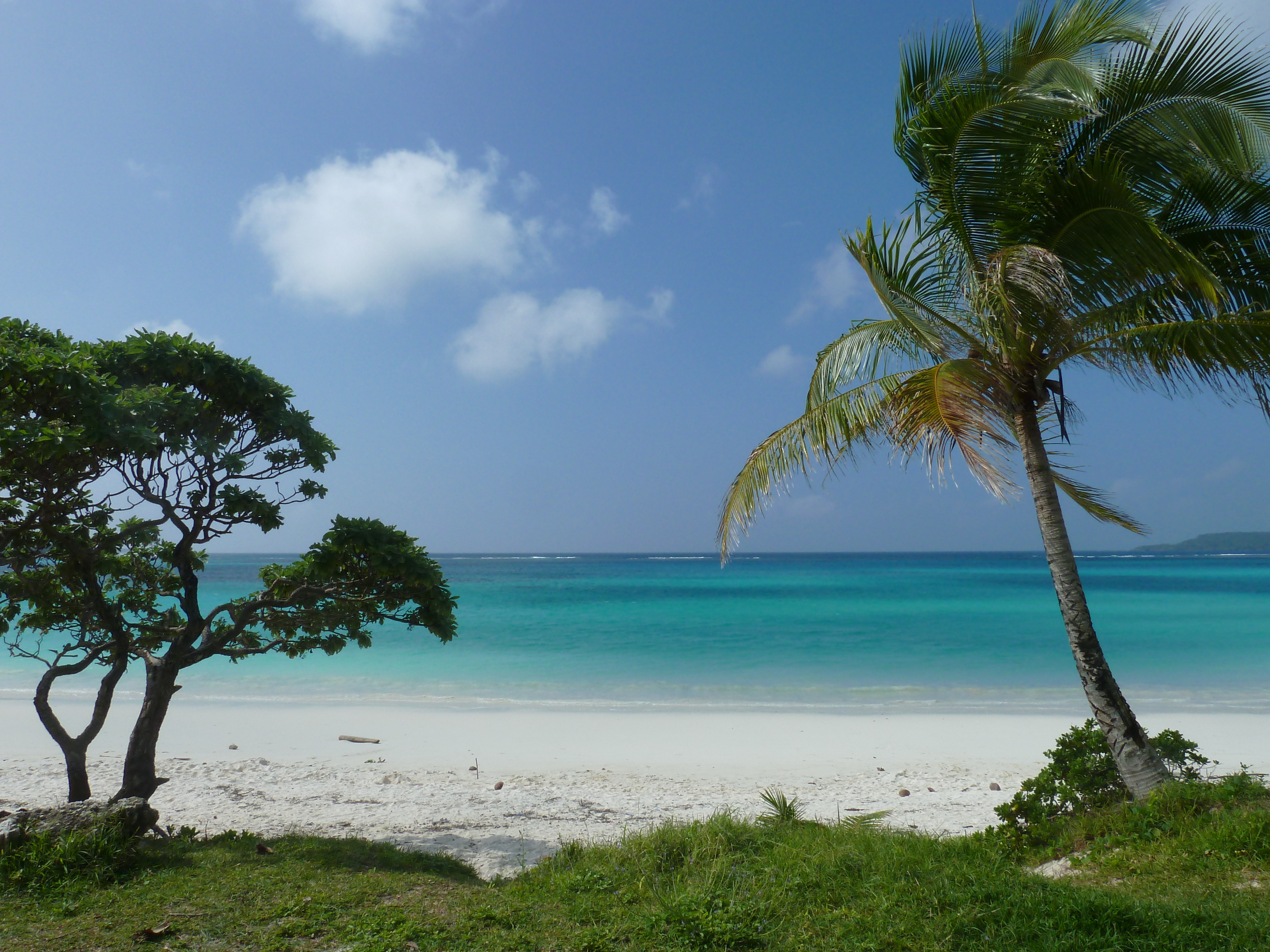 รูปถ่าย นิวแคลิโดเนีย(New Caledonia) เกาะลีฟู(Lifou) อ่าวชาโตบรีย็อง(Chateaubriand Bay) 2010-05 89