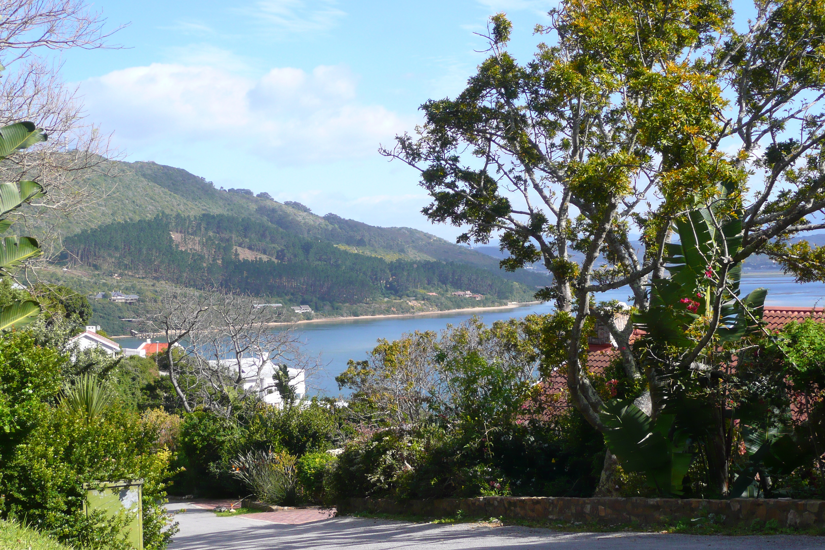 รูปถ่าย แอฟริกาใต้(South Africa) ไนส์นาเฮดส์(Knysna Heads) 2008-09 36
