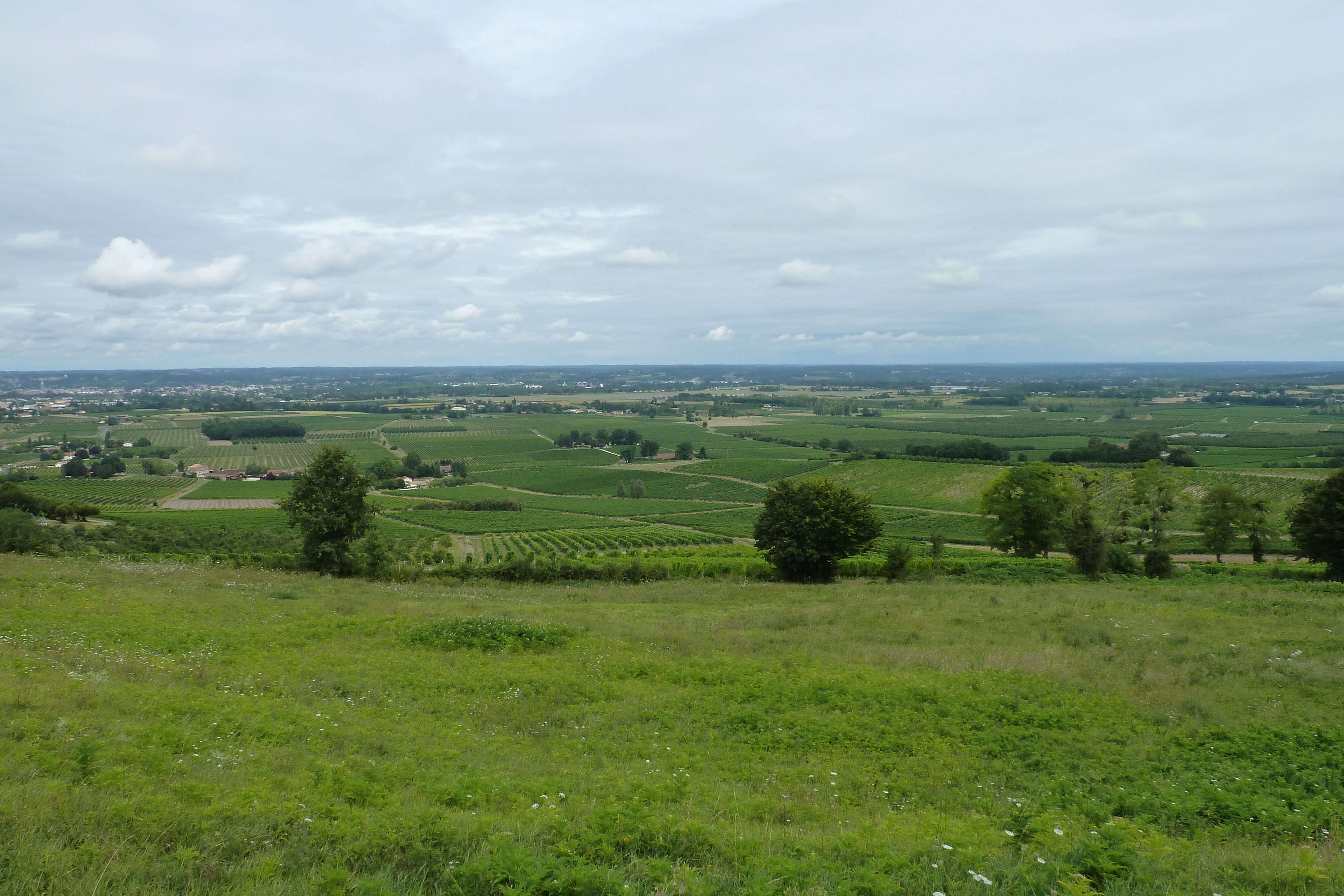 รูปถ่าย ฝรั่งเศส(France) มงบาซียัก(Monbazillac) 2010-08 138