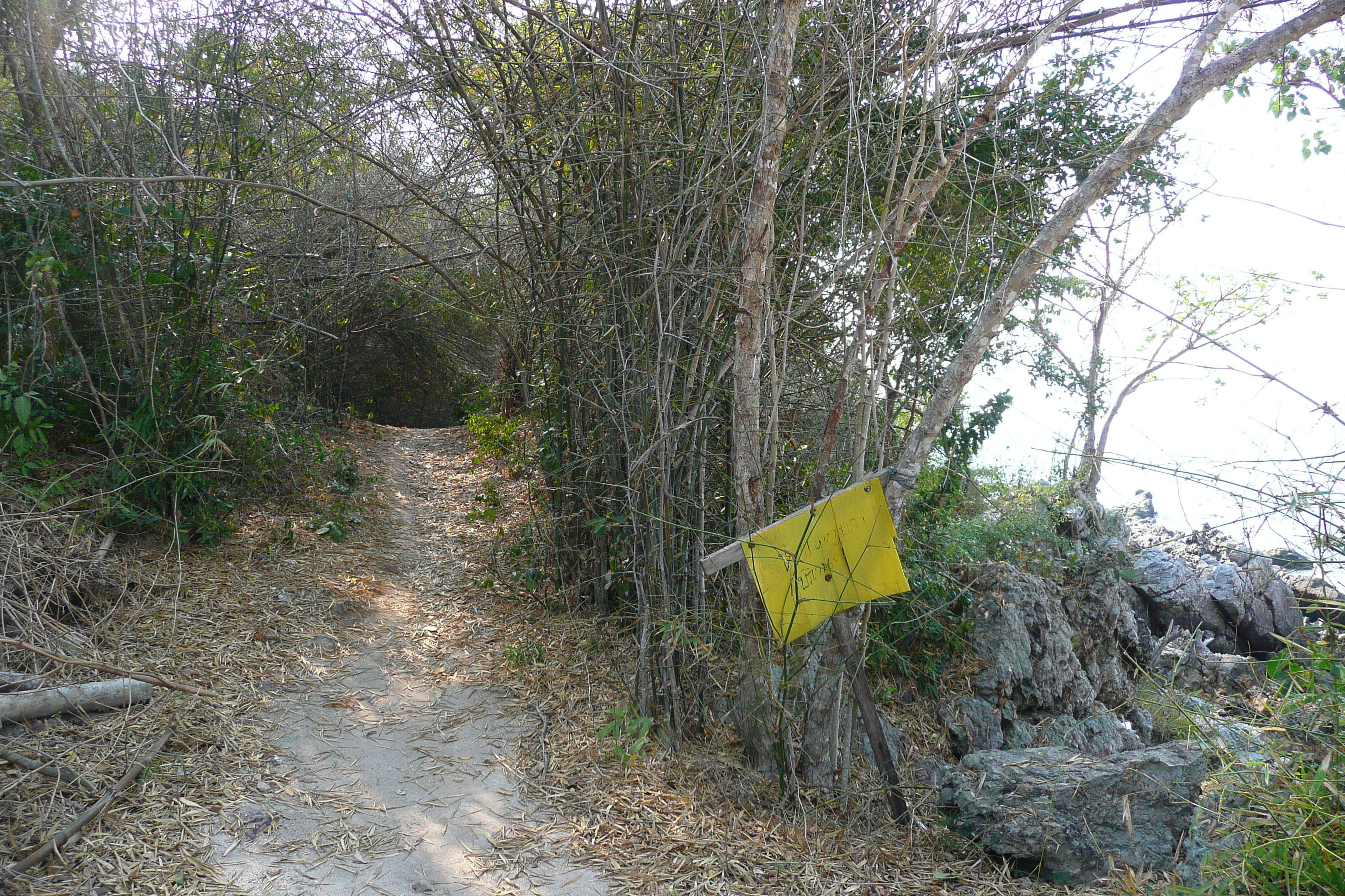 รูปถ่าย ไทย(Thailand) ชลบุรี(Chonburi) หาดทรายแก้ว(Sai Keaw Beach) 2008-01 18