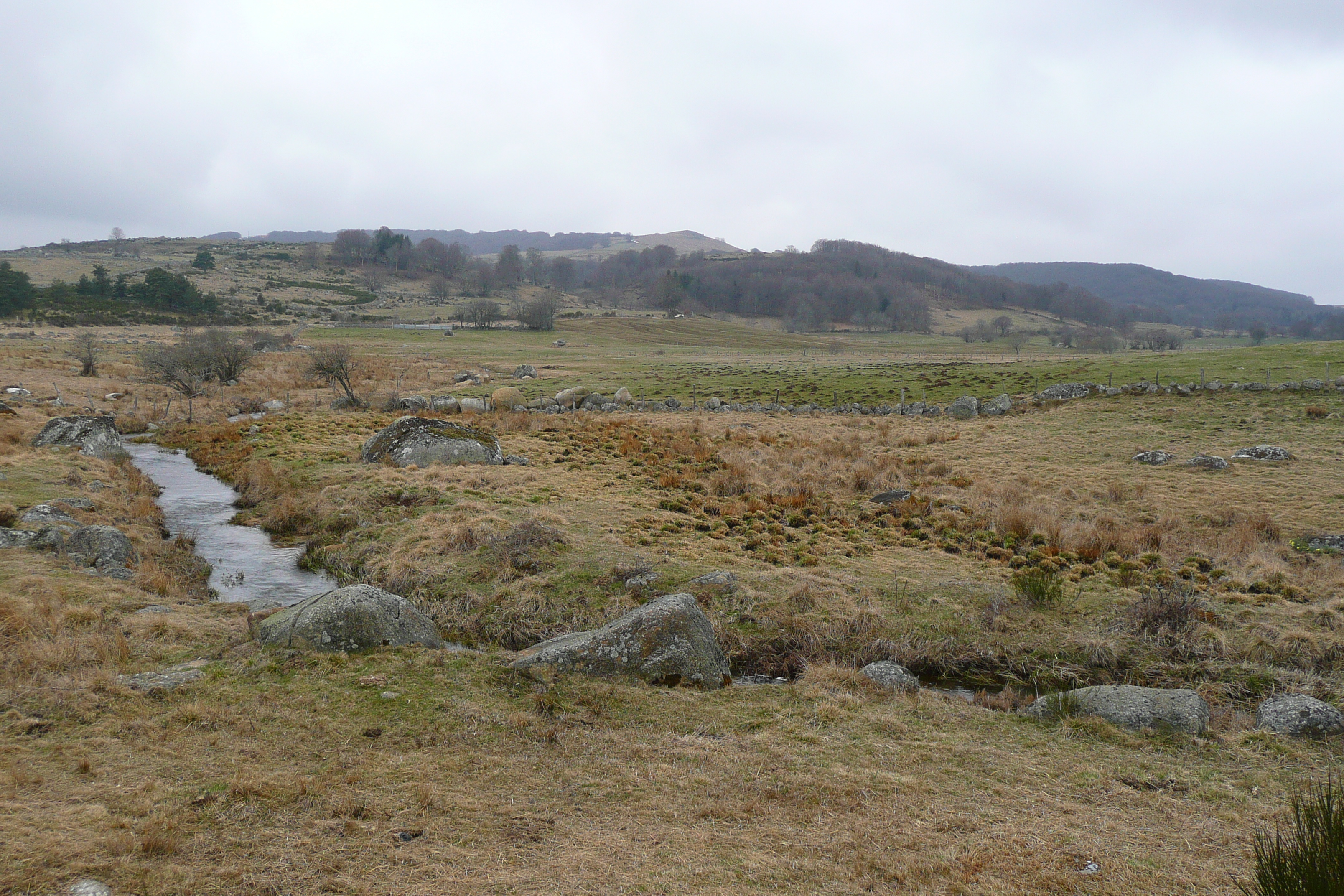 รูปถ่าย ฝรั่งเศส(France) โอบรัก(L'Aubrac) 2008-04 53