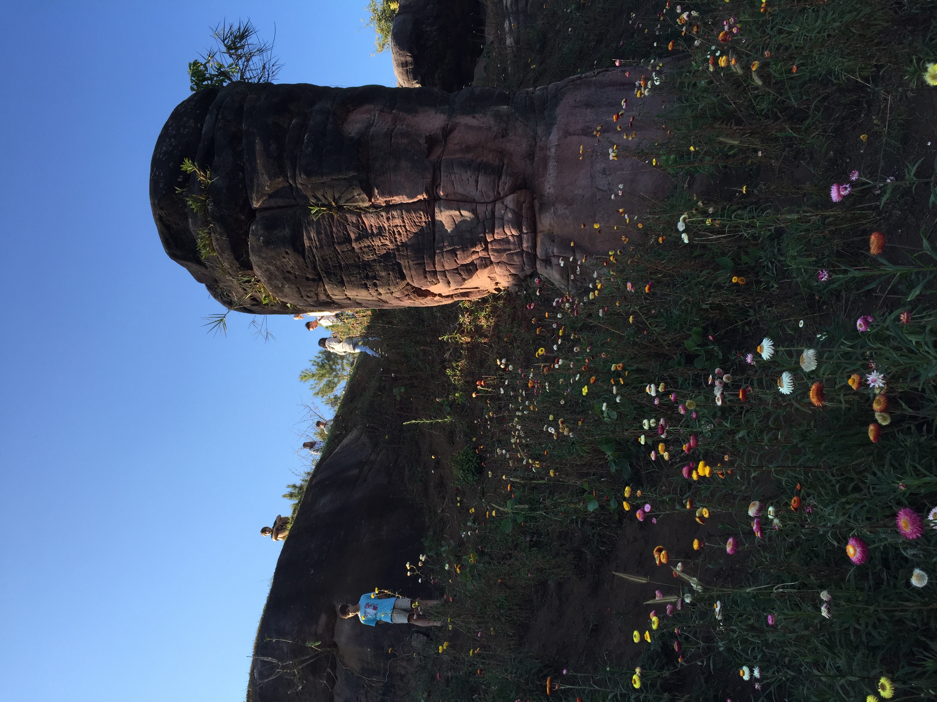 รูปถ่าย ไทย(Thailand) อุทยานแห่งชาติภูหินร่องกล้า(Phu Hin Rong Kla National Park) 2014-12 429