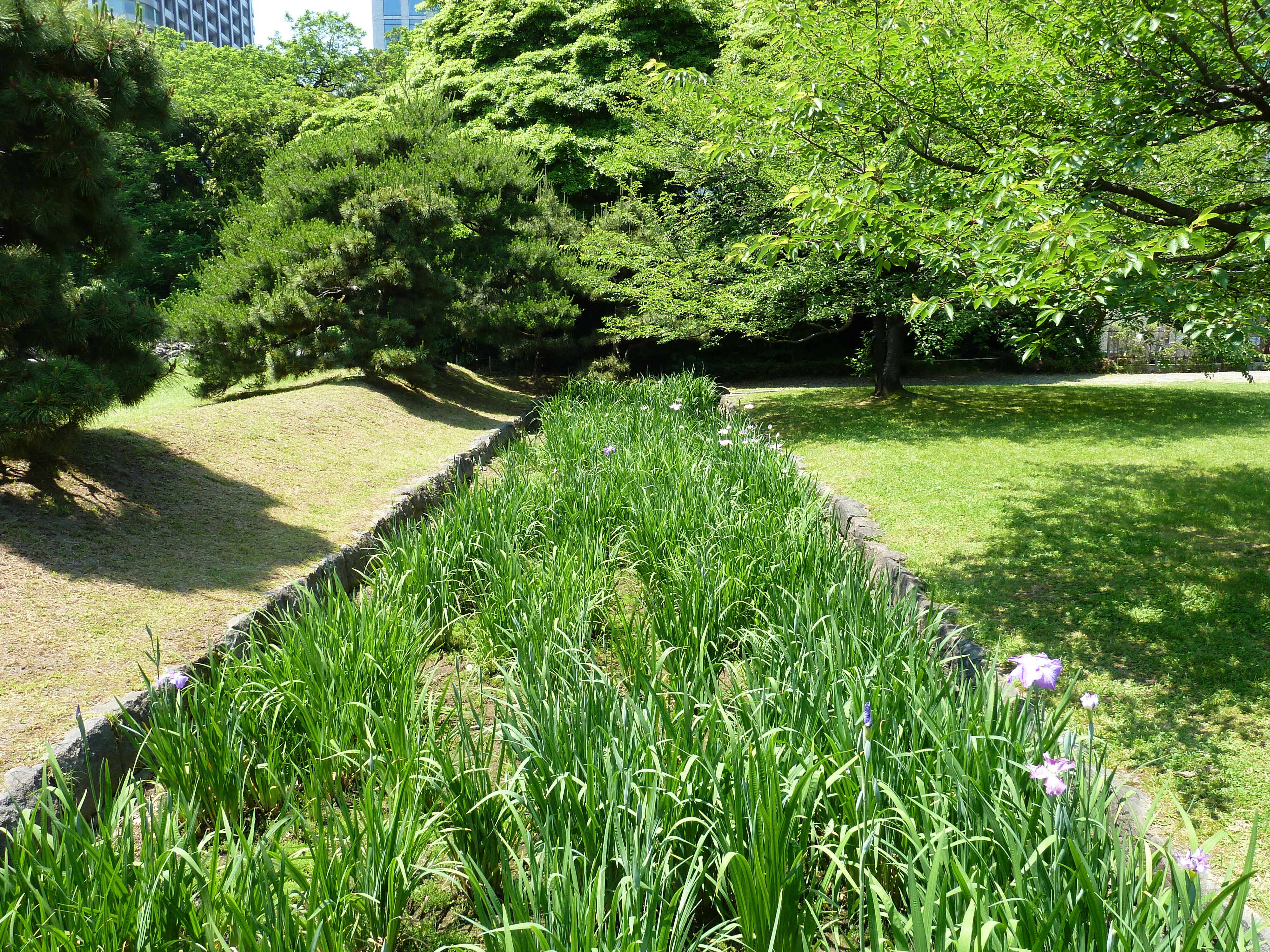 รูปถ่าย ญี่ปุ่น(Japan) โตเกียว(Tokyo) สวนฮามะริคิว(Hama rikyu Gardens) 2010-06 109