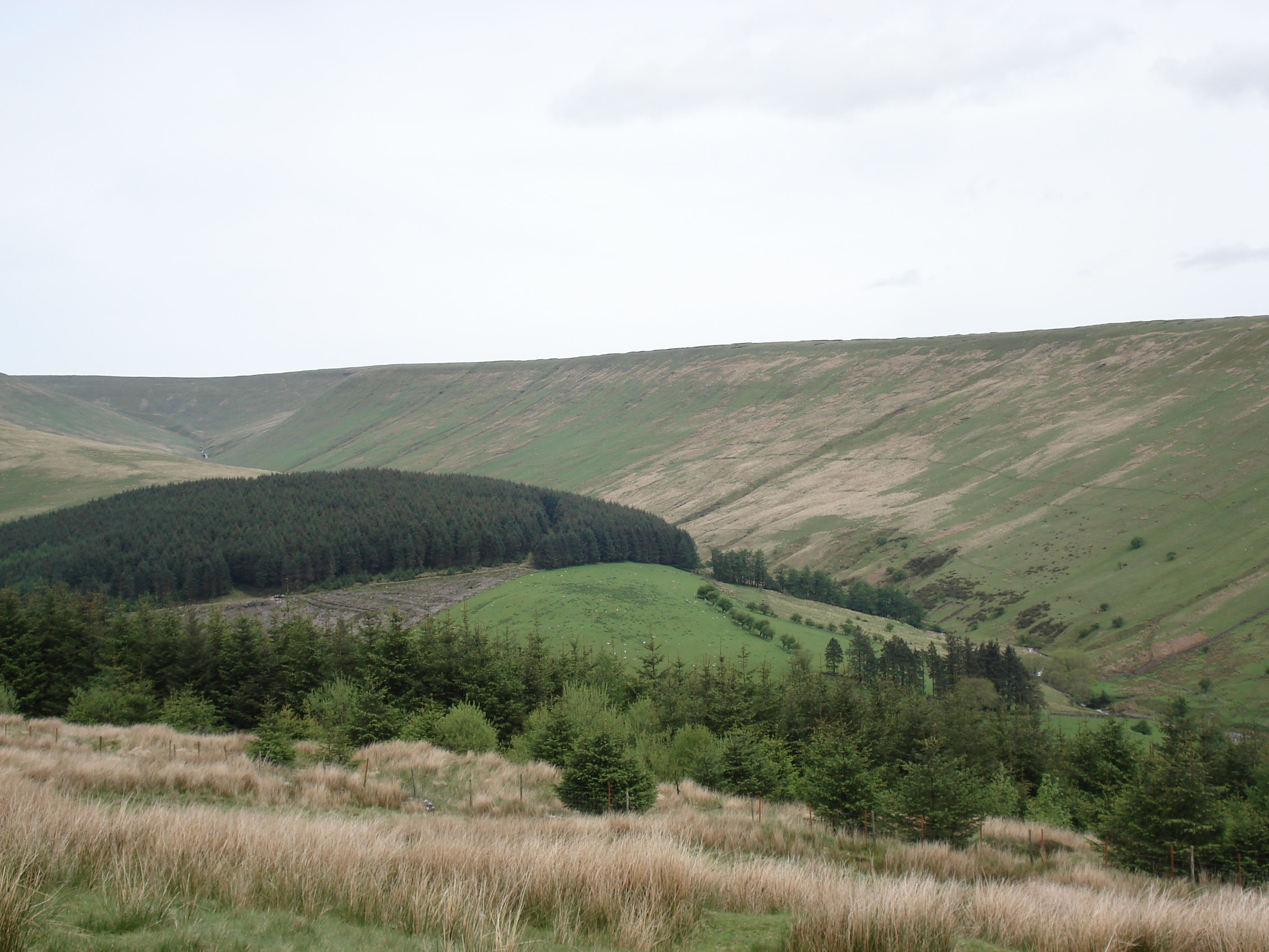 รูปถ่าย อังกฤษ(United Kingdom) อุทยานแห่งชาติเบรคอนบีคอนส์(Brecon Beacons National Park) 2006-05 34