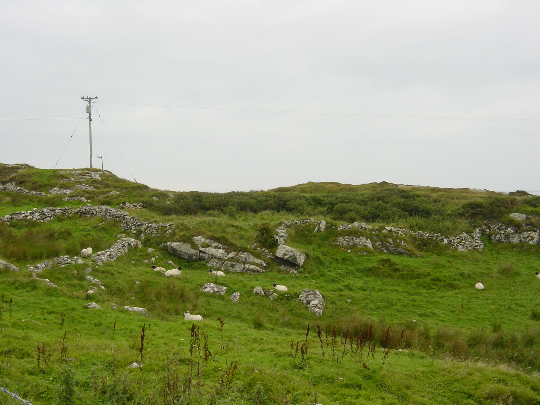 รูปถ่าย ไอร์แลนด์(Ireland) คอนเนอมารา(Connemara) 2003-09 66