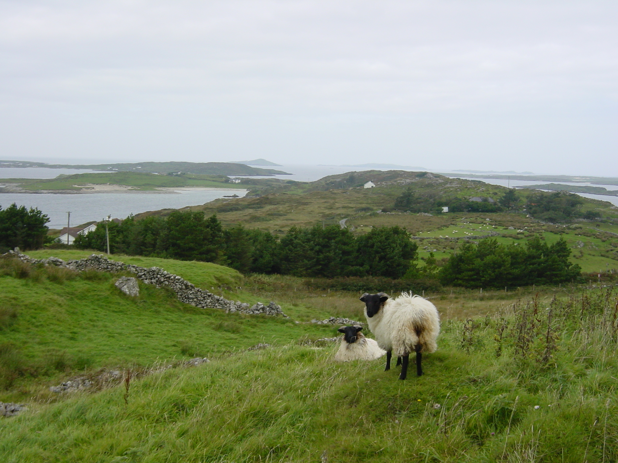 รูปถ่าย ไอร์แลนด์(Ireland) คอนเนอมารา(Connemara) 2003-09 36