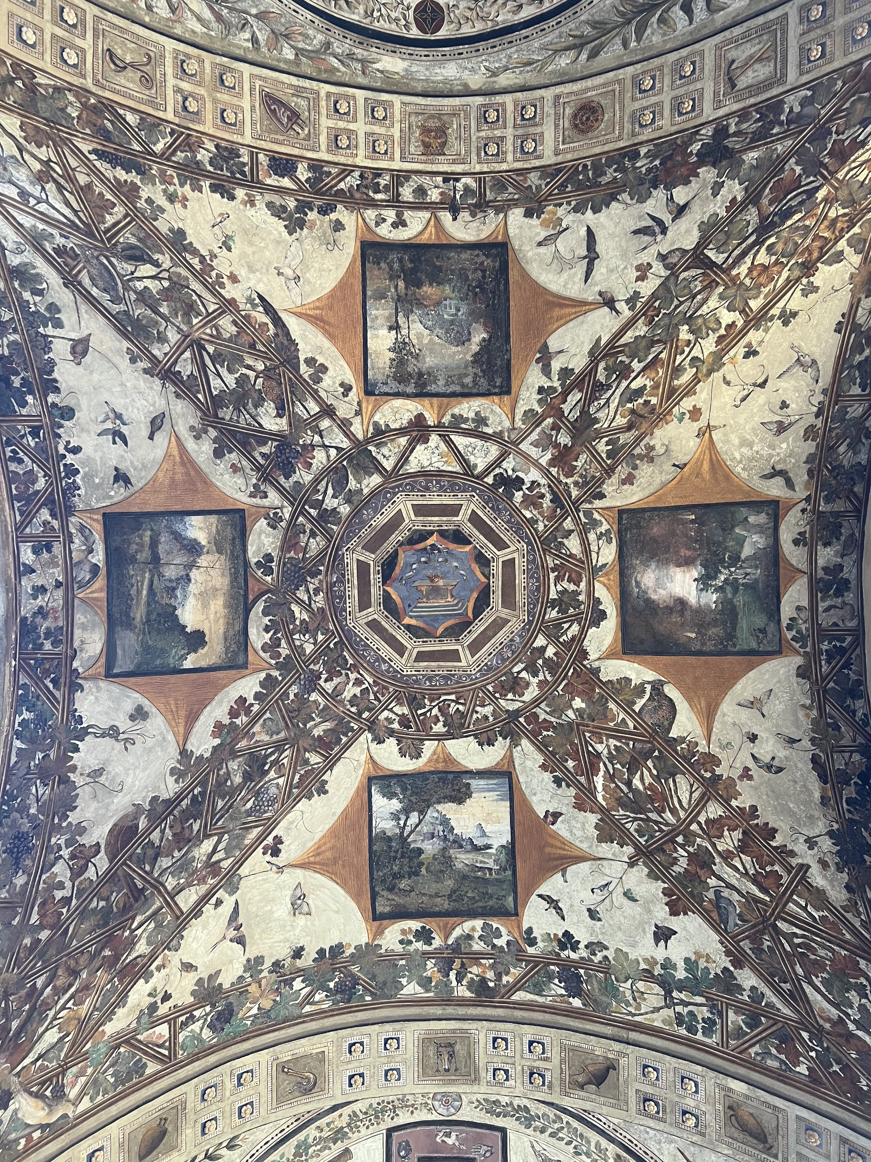 รูปถ่าย อิตาลี(Italy) ซีเอน่า(Siena) 2021-09 68